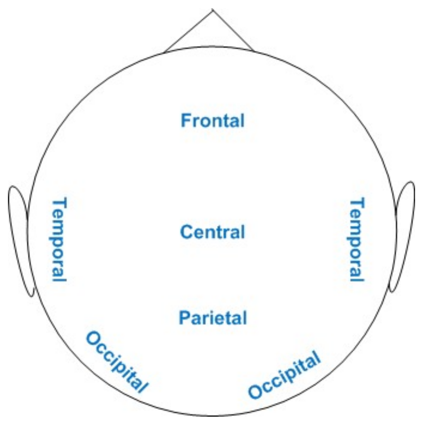 Brainsci 11 00696 g005