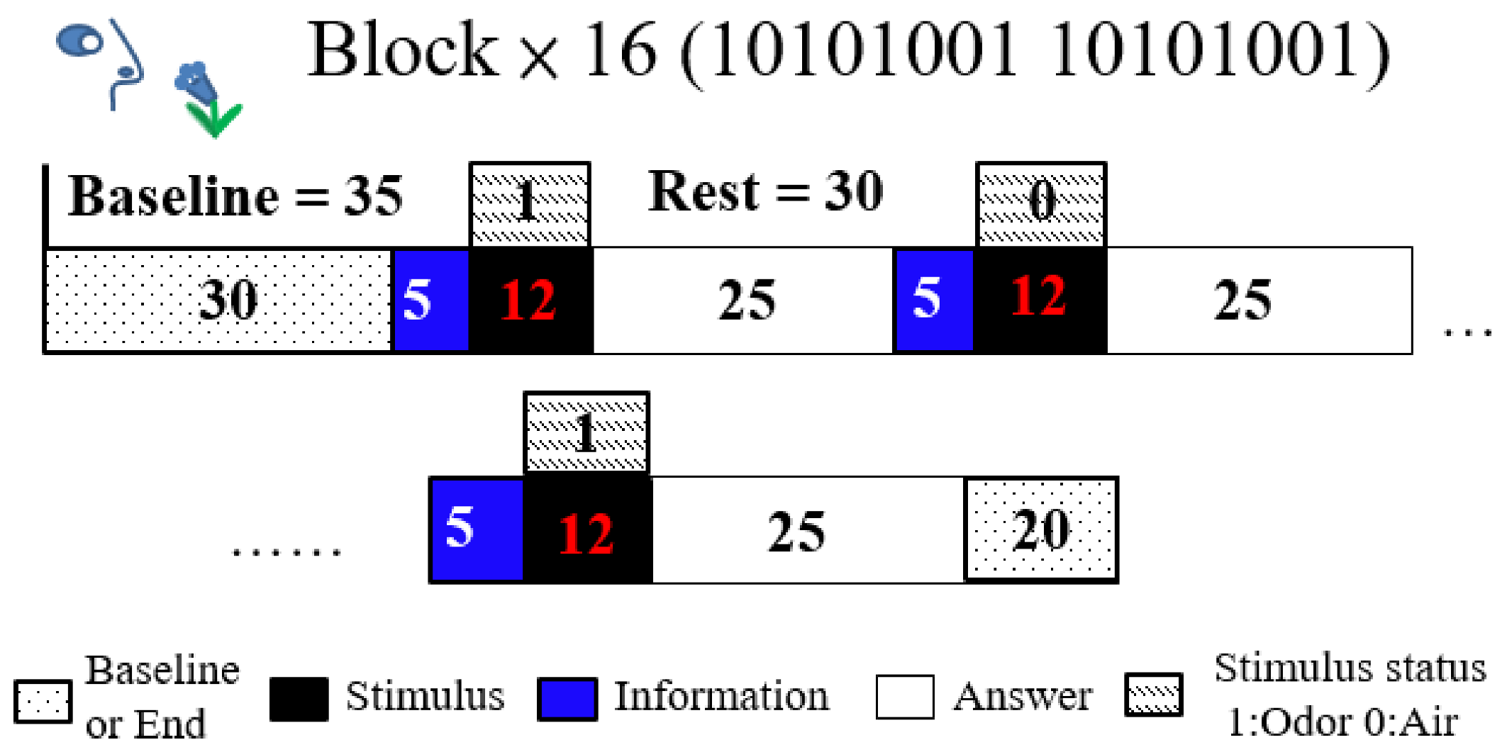 Brainsci 11 00701 g002
