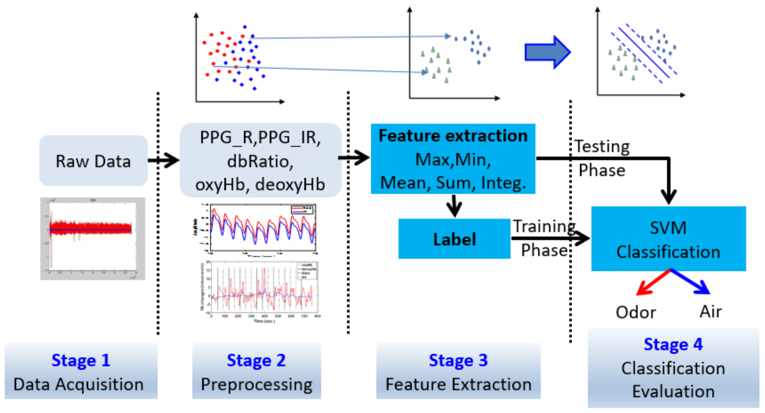 Brainsci 11 00701 g003