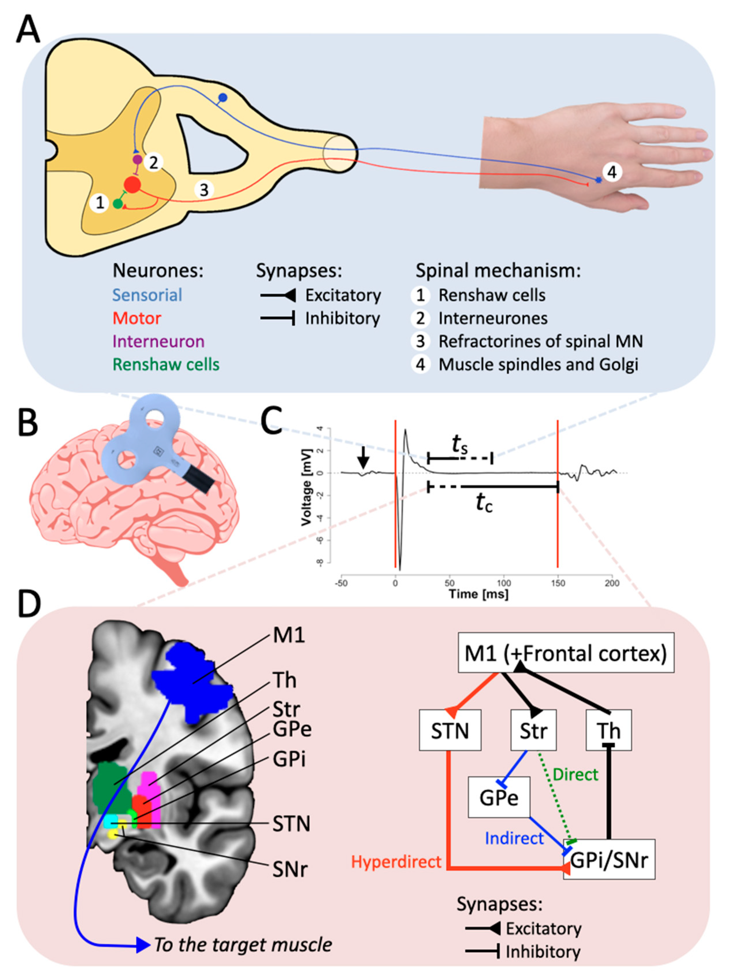 Brain Sciences, Free Full-Text