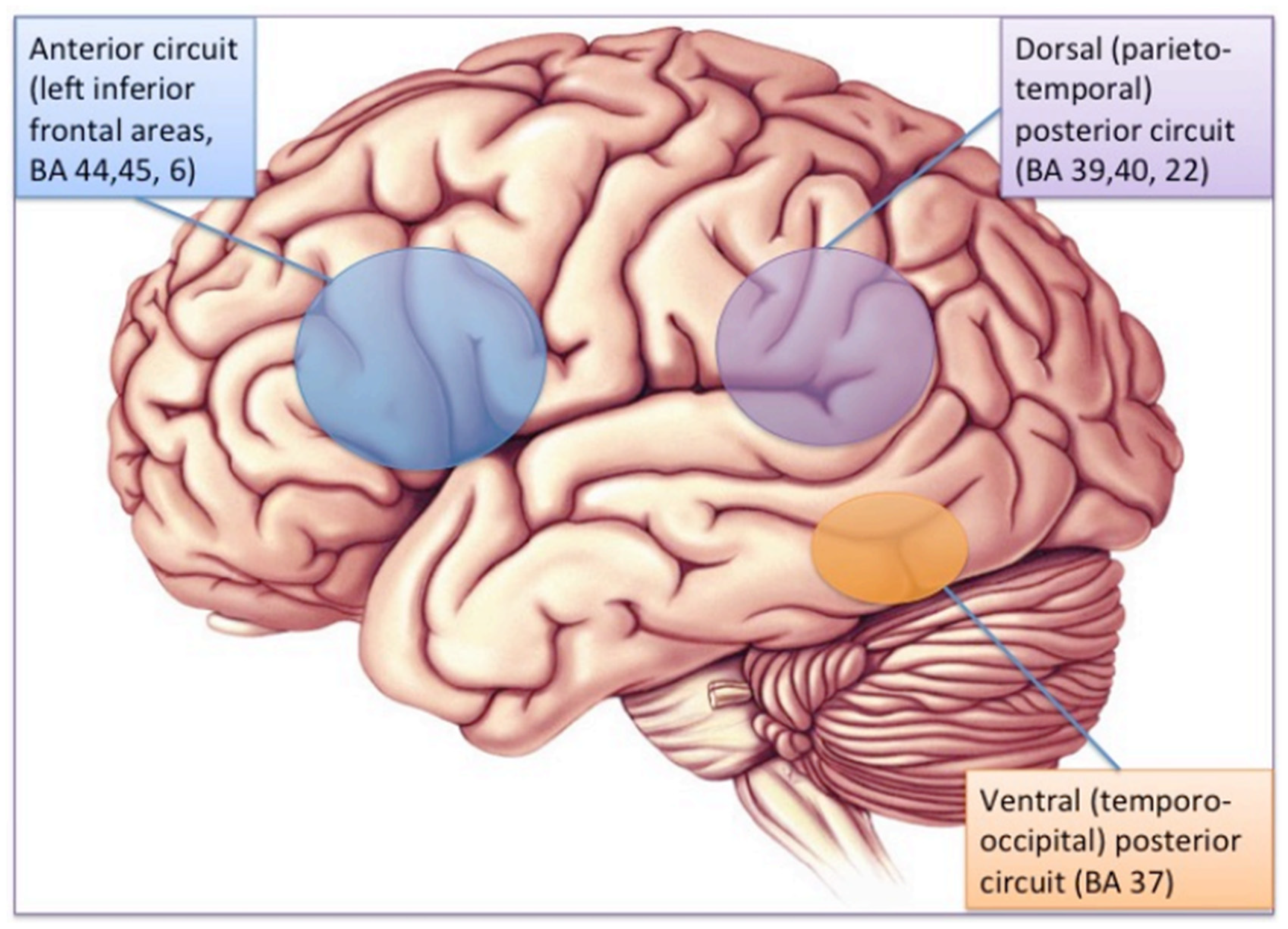 CDE Diagnostic Center, Central CA: Dyslexia Forum — Gaab Lab