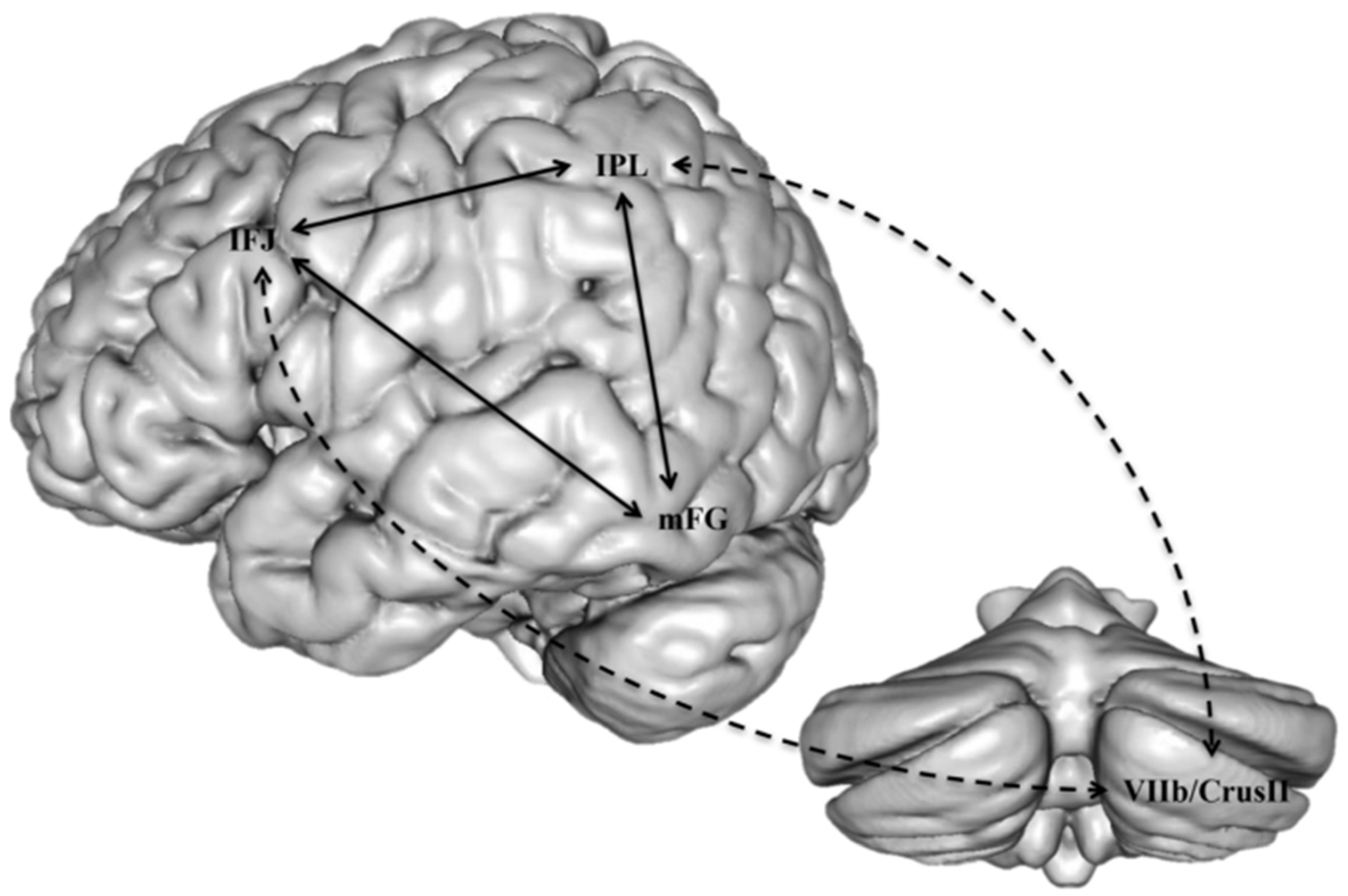 Brainsci 11 00708 g006
