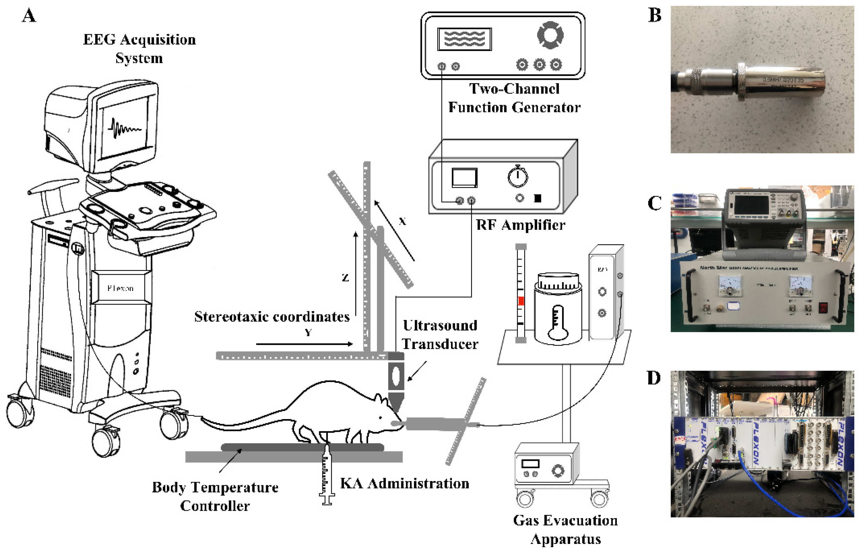 Brainsci 11 00711 g003 Brainsci 11 00711 g003