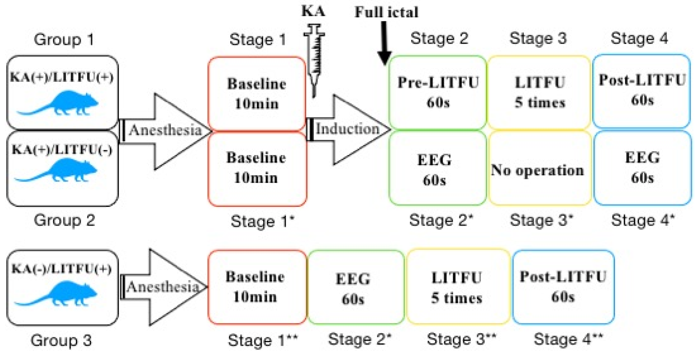 Brainsci 11 00711 g005 Brainsci 11 00711 g005