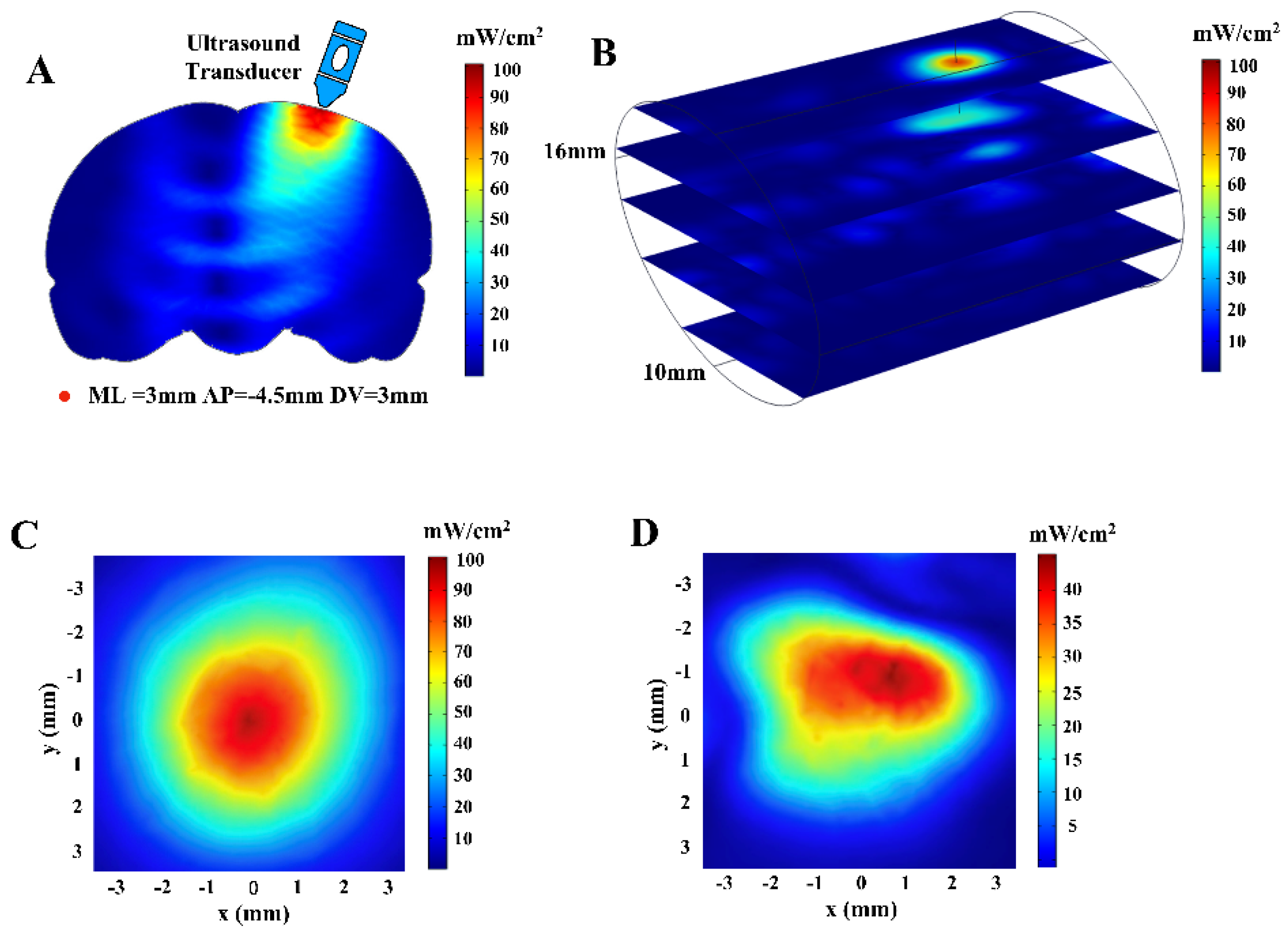 Brainsci 11 00711 g007 Brainsci 11 00711 g007