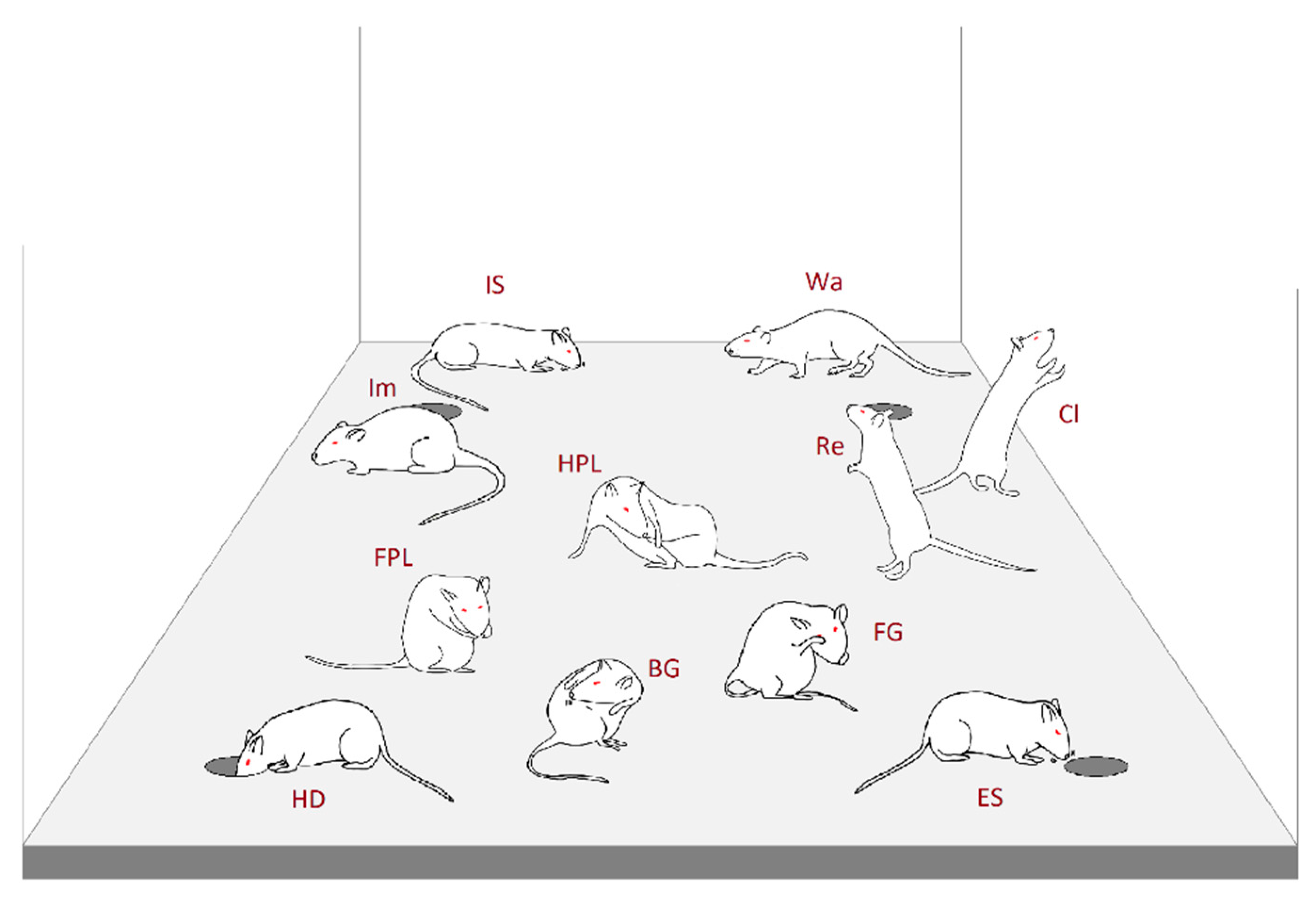 Brainsci 11 00714 g001
