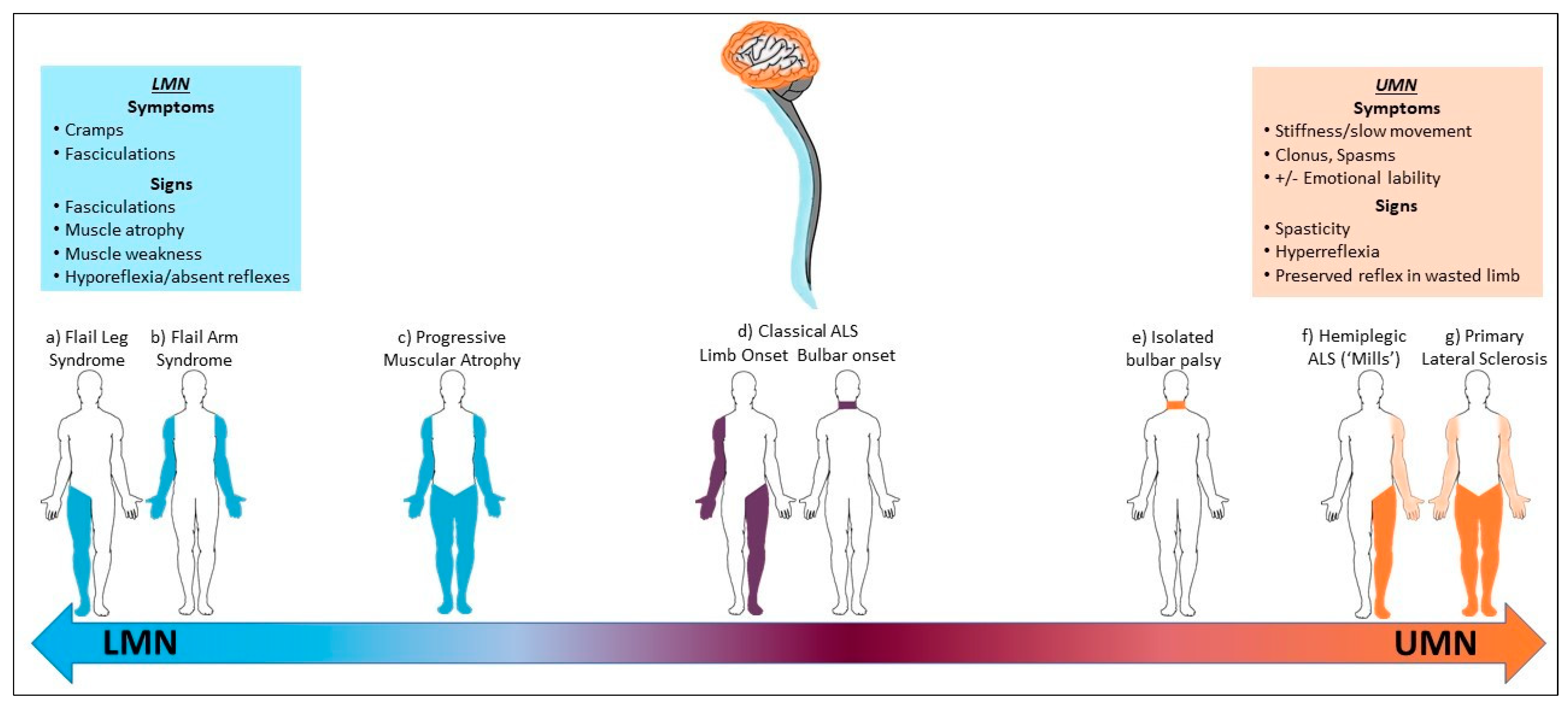 Brainsci 11 00715 g002