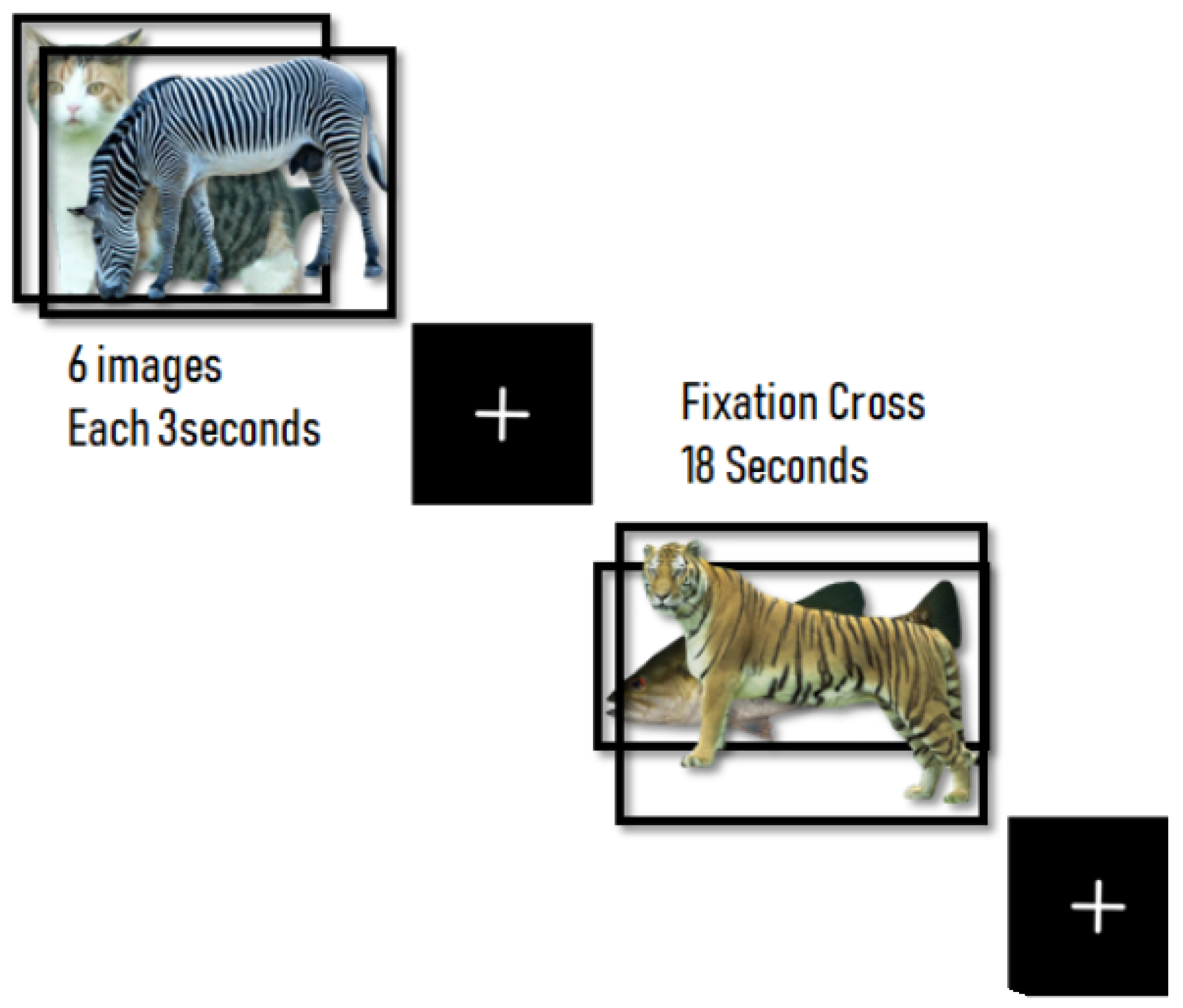 Brainsci 11 00718 g001