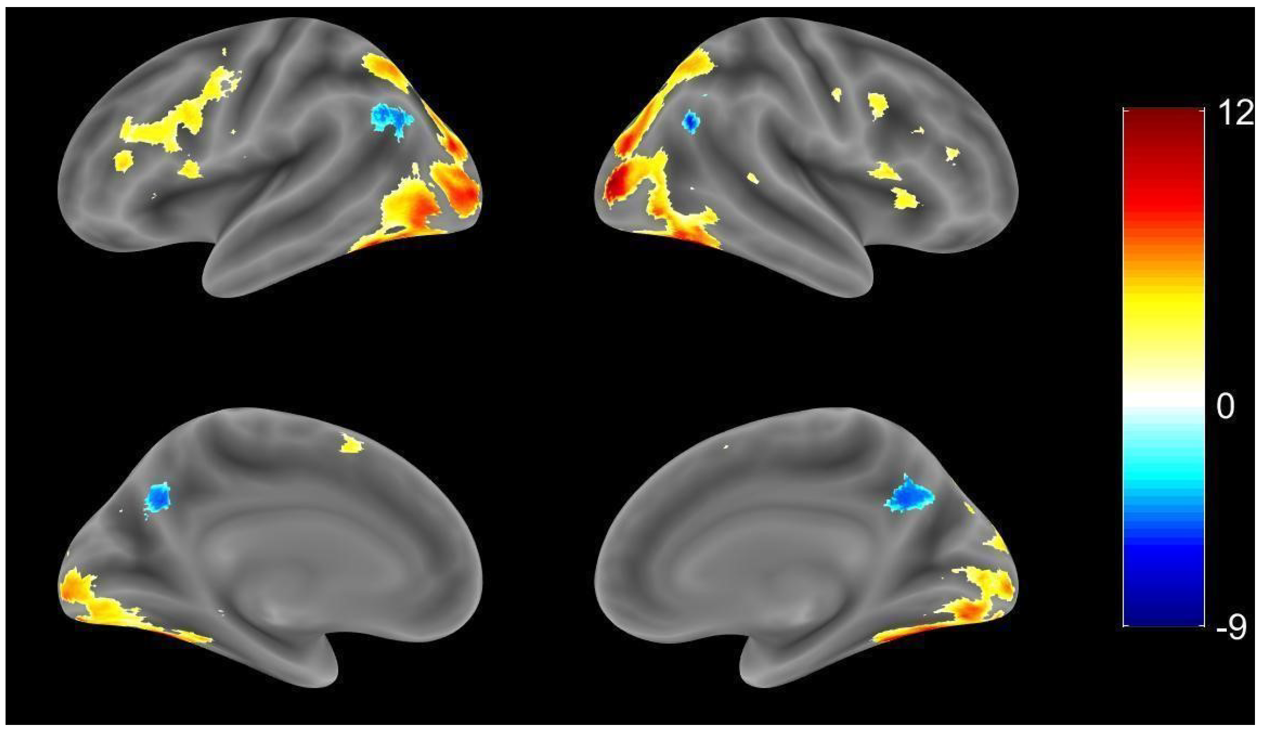 Brainsci 11 00718 g002