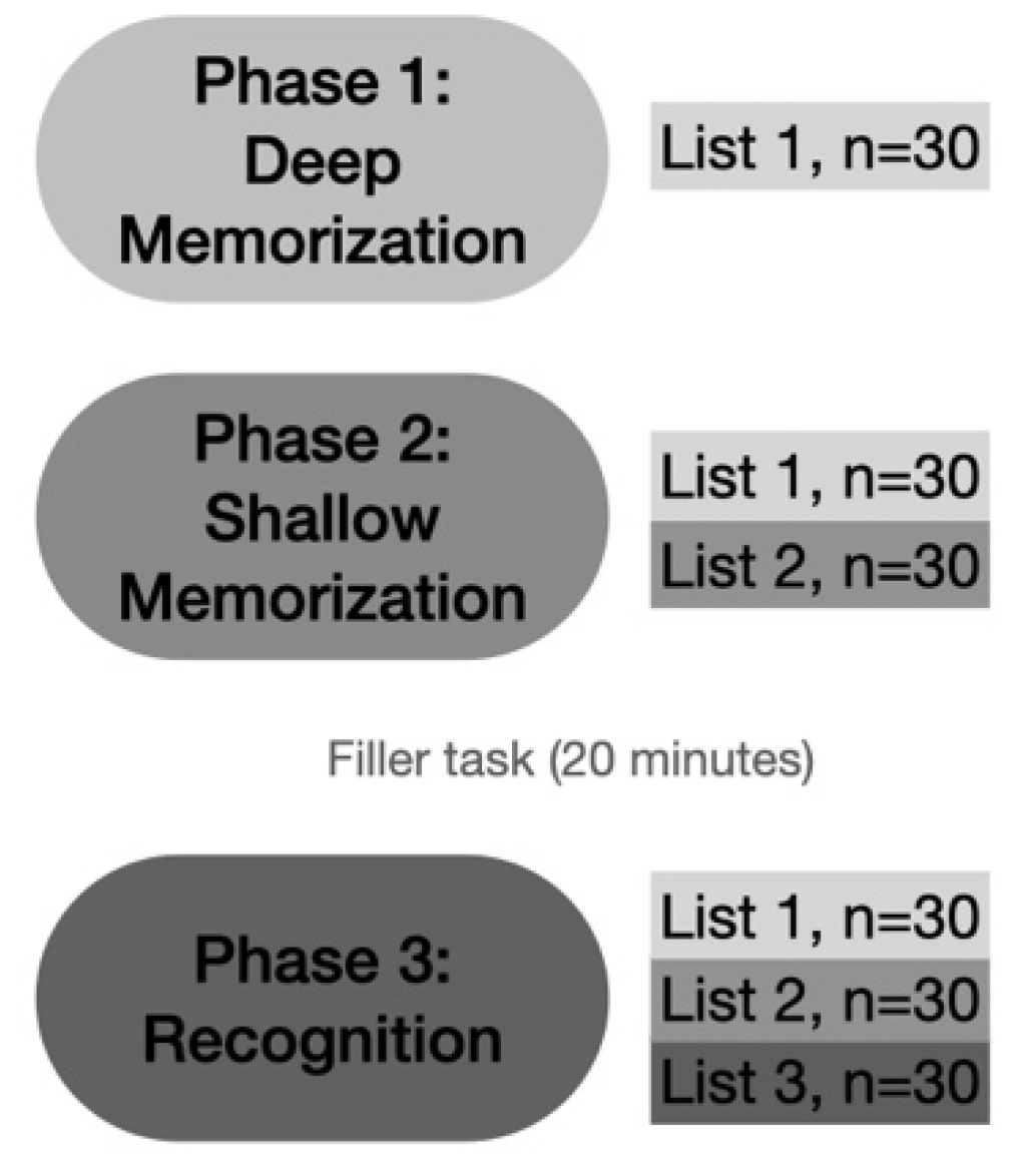 Brainsci 11 00719 g002