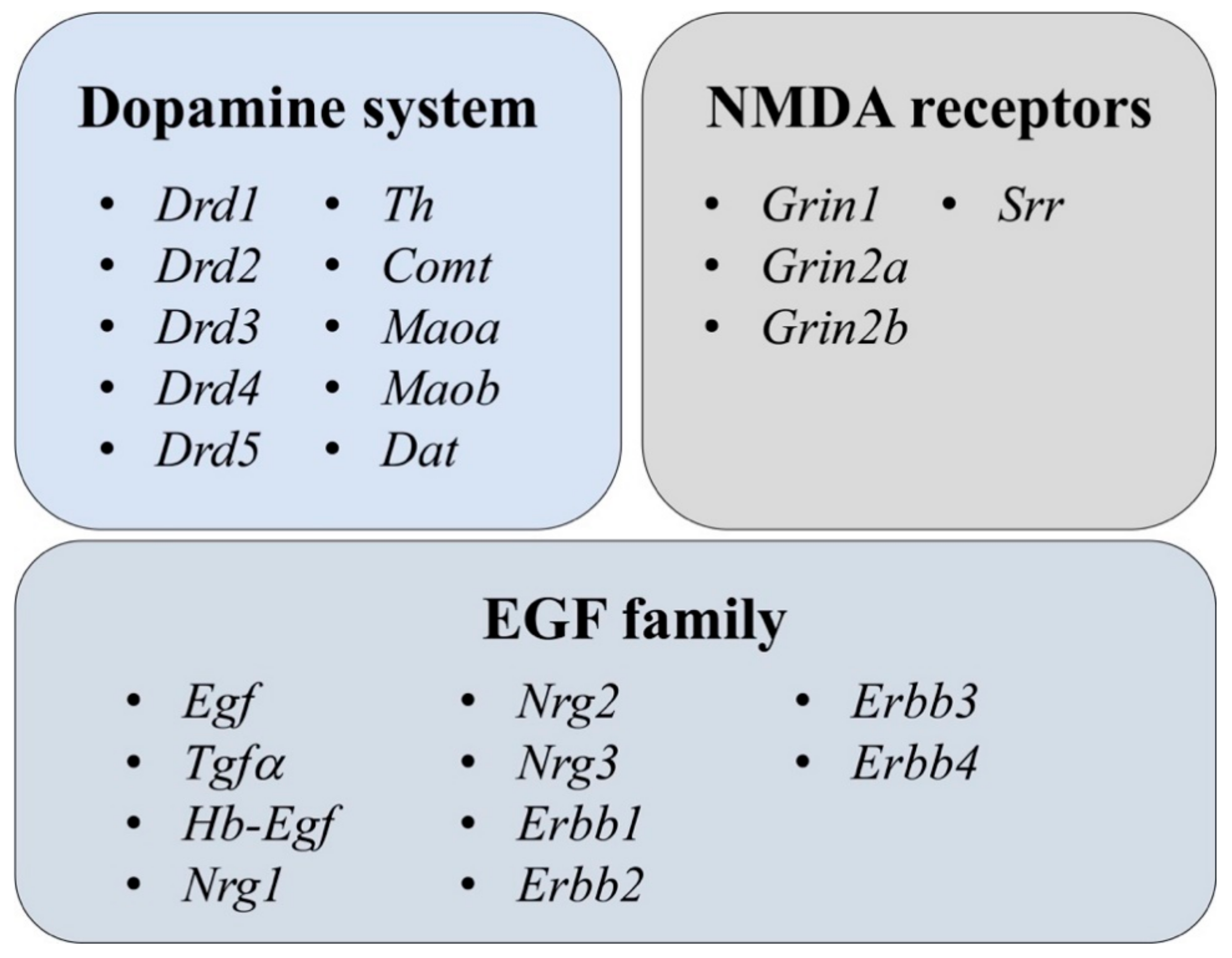 Brainsci 11 00725 g001 Brainsci 11 00725 g001