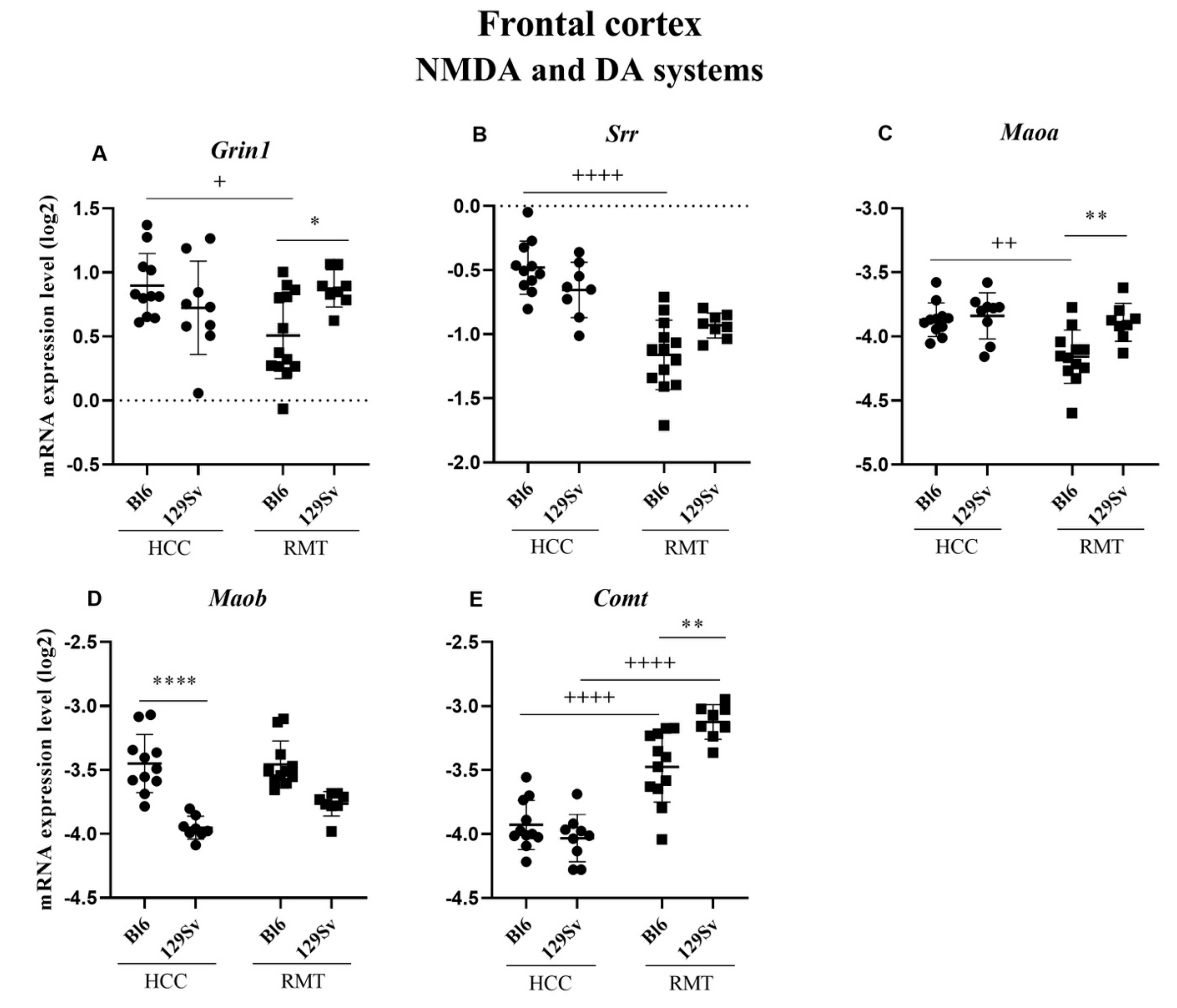 Brainsci 11 00725 g006 Brainsci 11 00725 g006