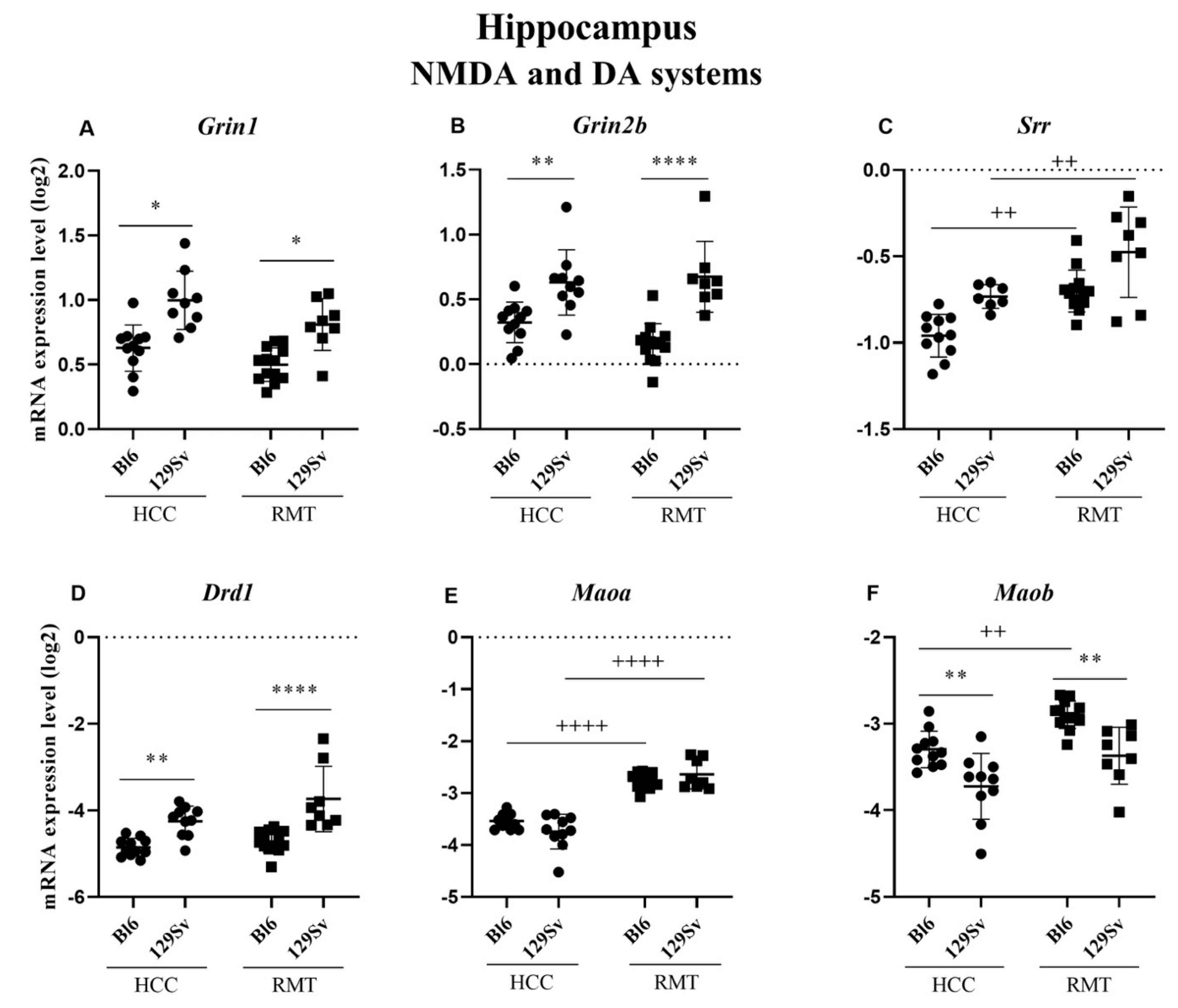 Brainsci 11 00725 g007 Brainsci 11 00725 g007