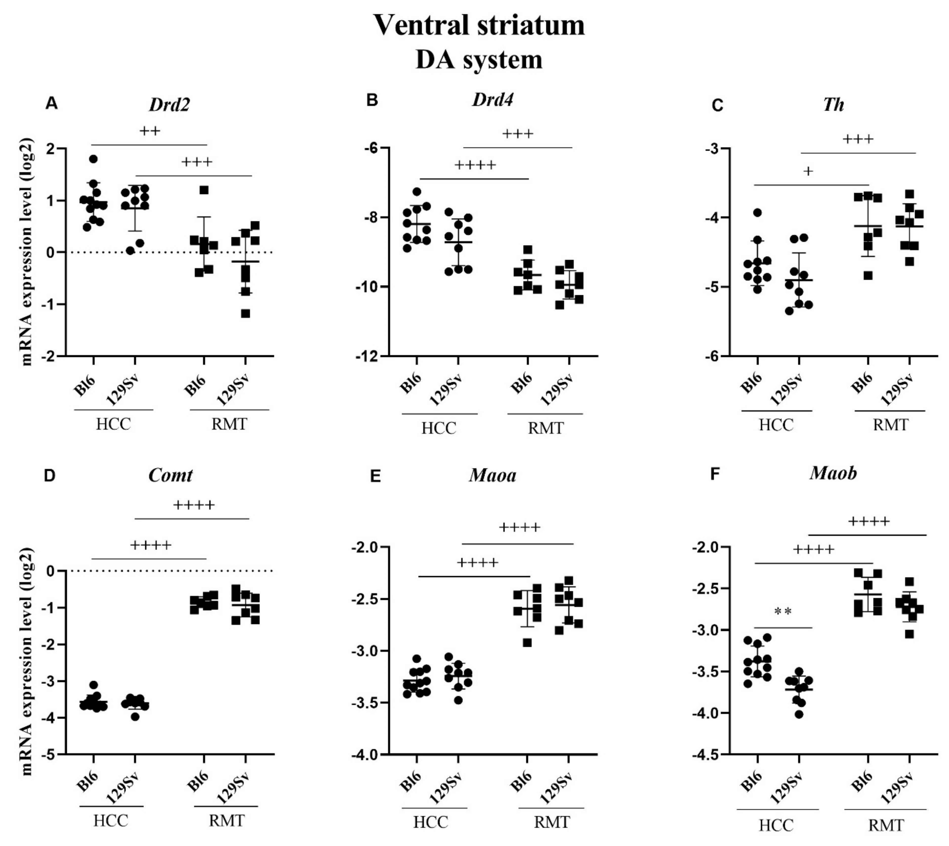 Brain Sciences Free Full Text Dopamine System Nmda Receptor And Egf Family Expressions In Brain Structures Of Bl6 And 129sv Strains Displaying Different Behavioral Adaptation Html Brain Sciences Free Full Text Dopamine System Nmda Receptor And Egf Family Expressions In Brain Structures Of Bl6 And 129sv Strains Displaying Different Behavioral Adaptation Html