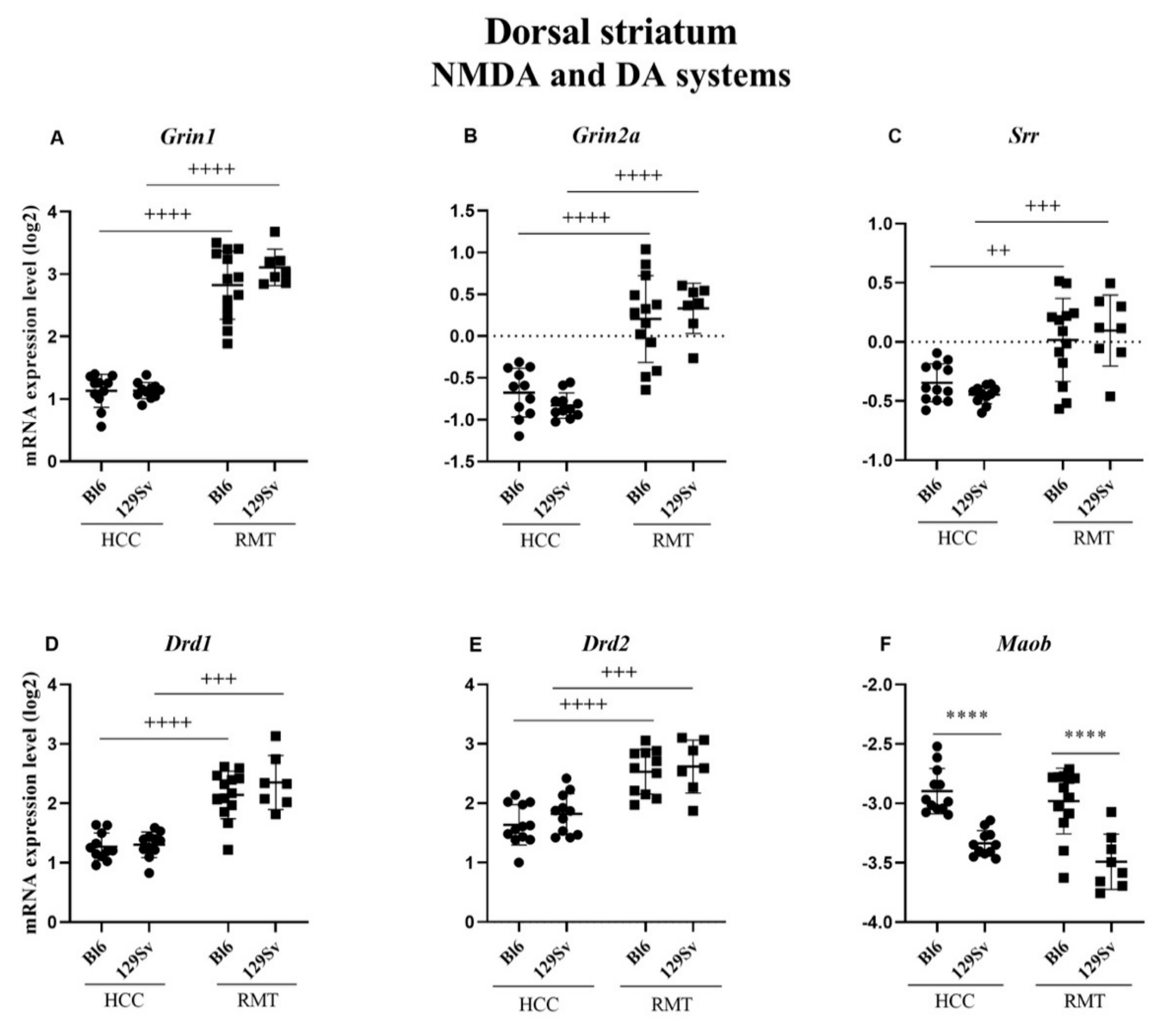 Brainsci 11 00725 g009 Brainsci 11 00725 g009