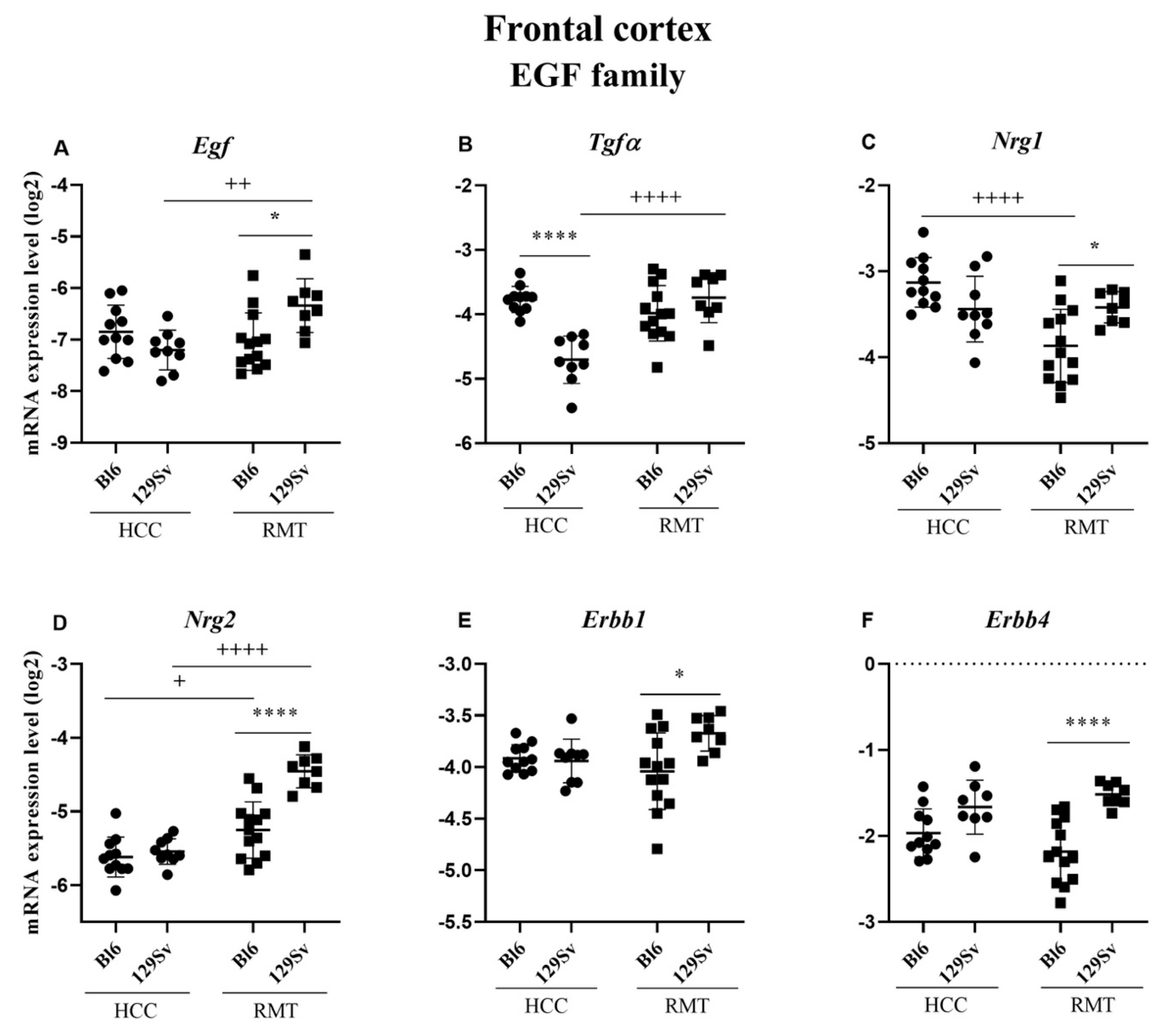 Brainsci 11 00725 g010 Brainsci 11 00725 g010