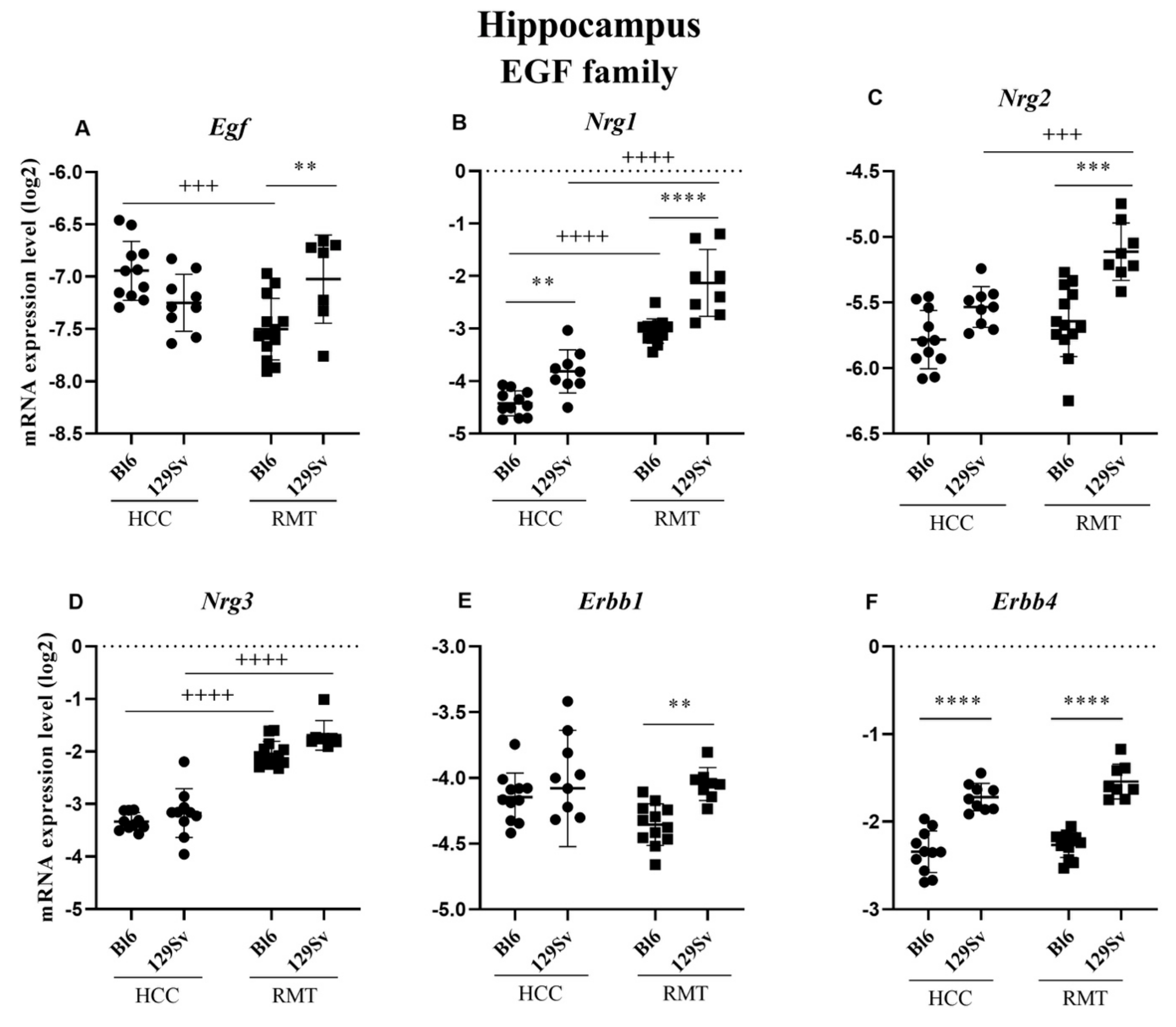 Brainsci 11 00725 g011 Brainsci 11 00725 g011