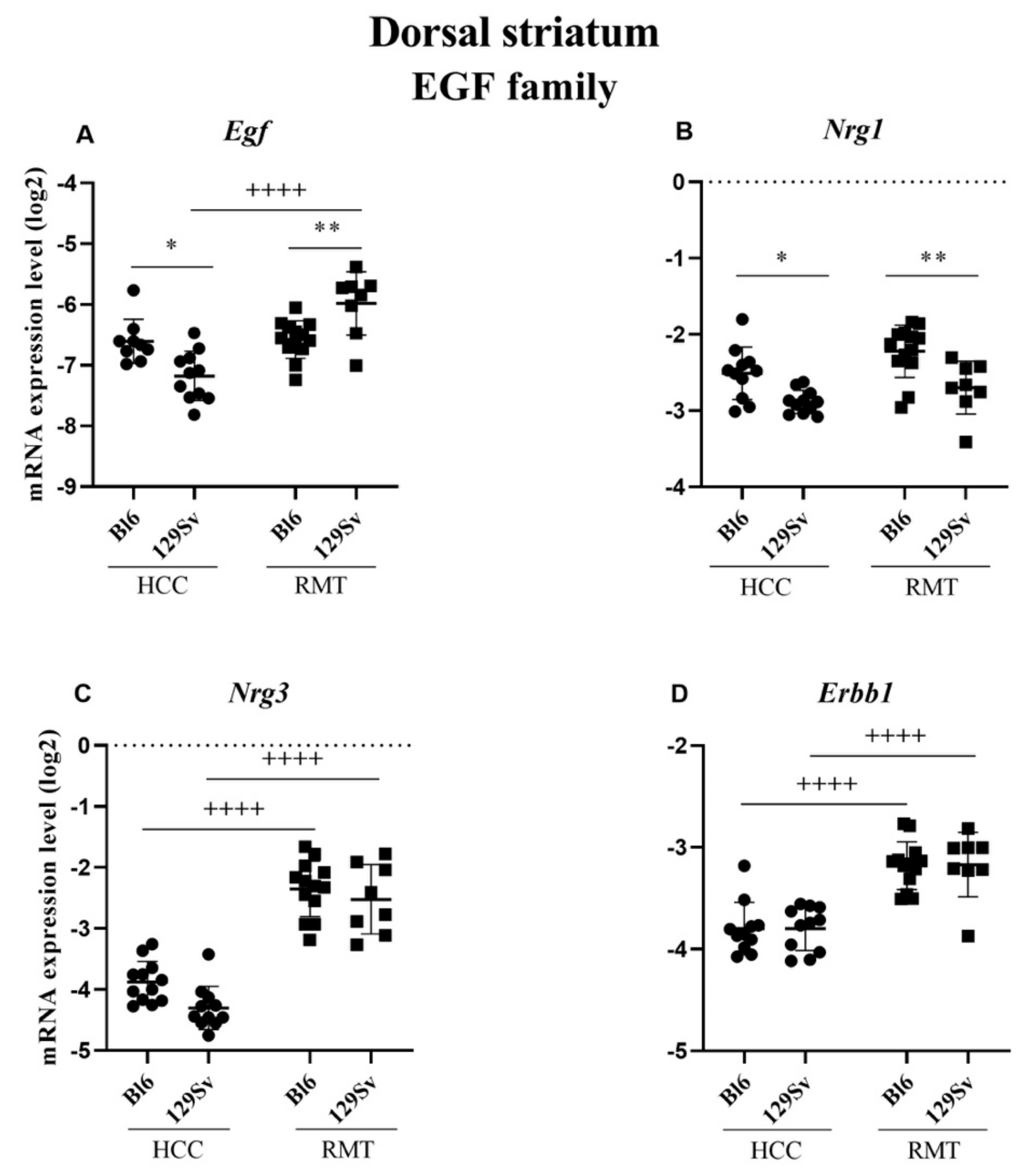 Brainsci 11 00725 g013 Brainsci 11 00725 g013