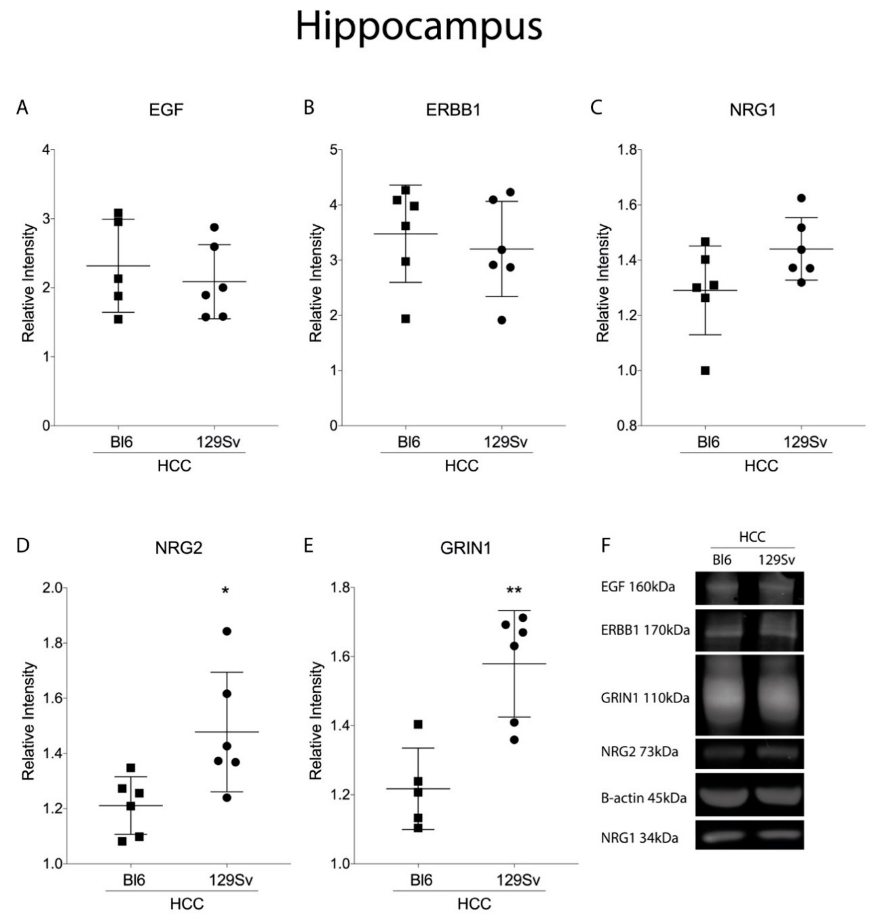 Brainsci 11 00725 g014 Brainsci 11 00725 g014