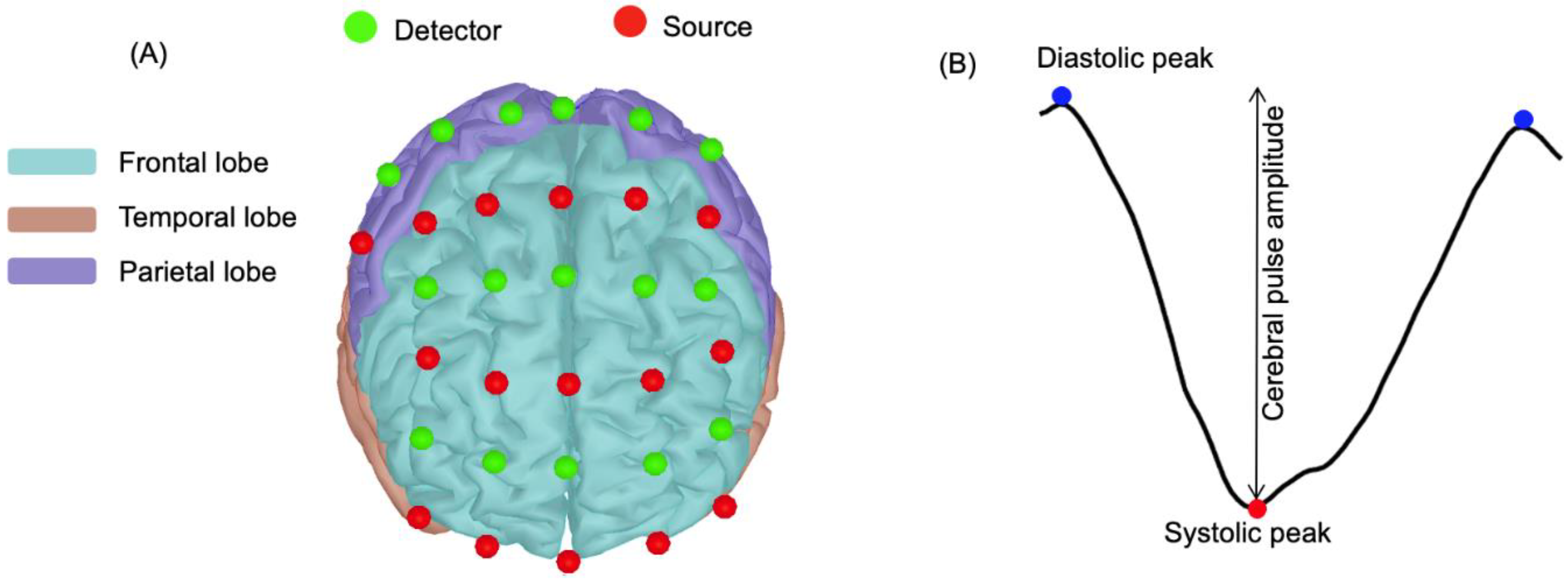 Brainsci 11 00730 g001 Brainsci 11 00730 g001