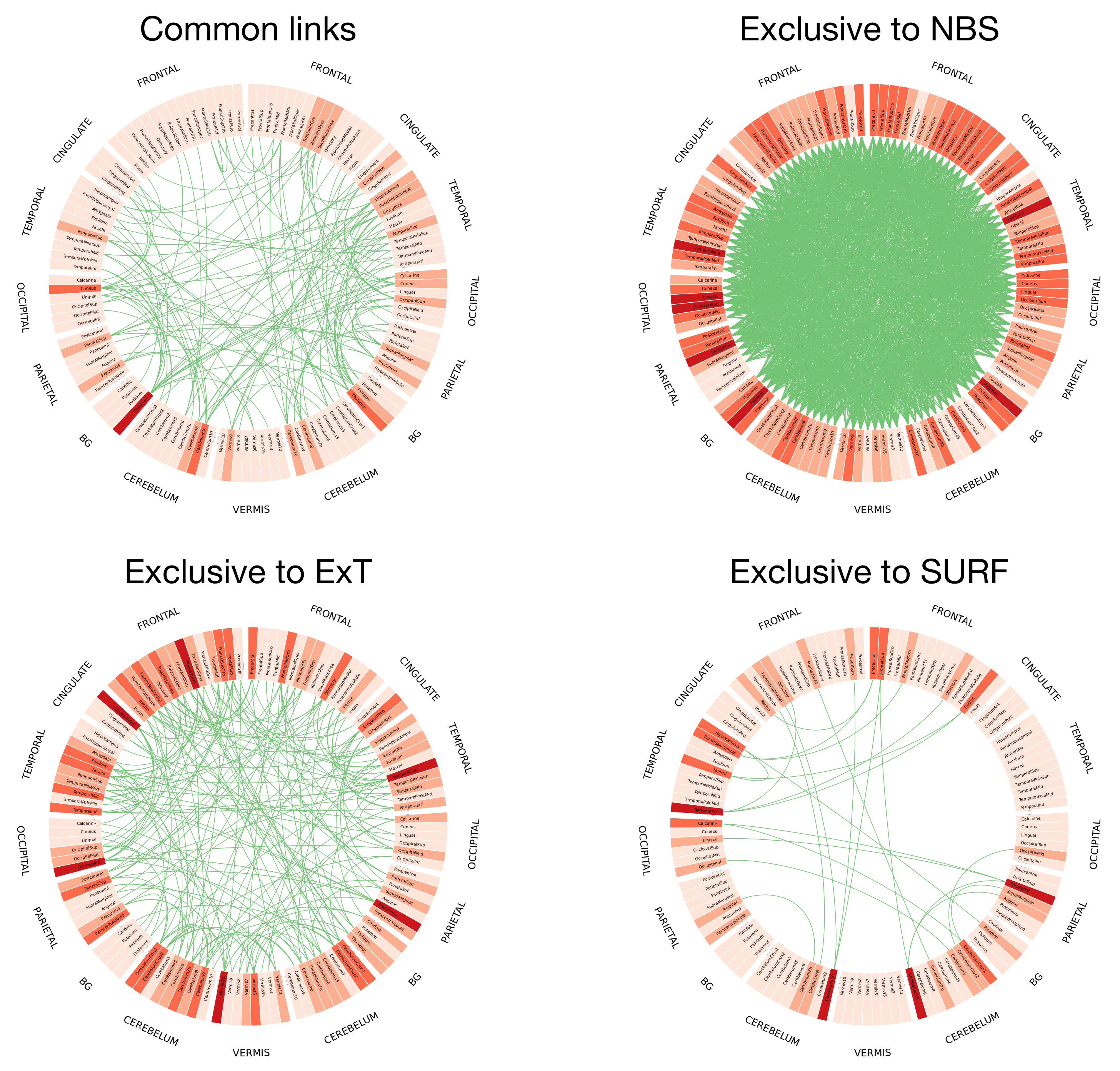 Brainsci 11 00735 g007 Brainsci 11 00735 g007
