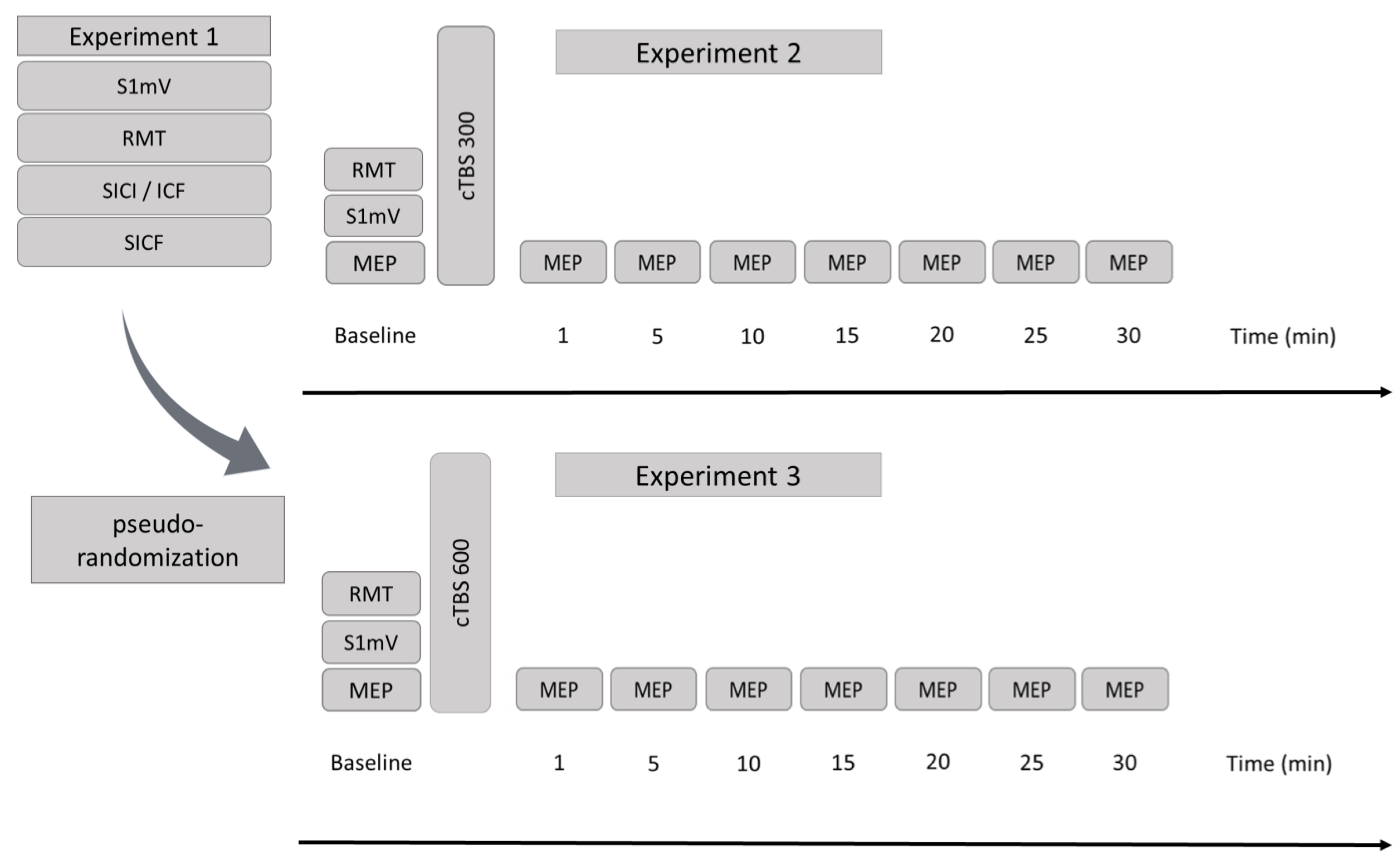 Brainsci 11 00737 g001 Brainsci 11 00737 g001