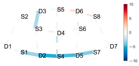 Brainsci 11 00742 i017 Brainsci 11 00742 i017