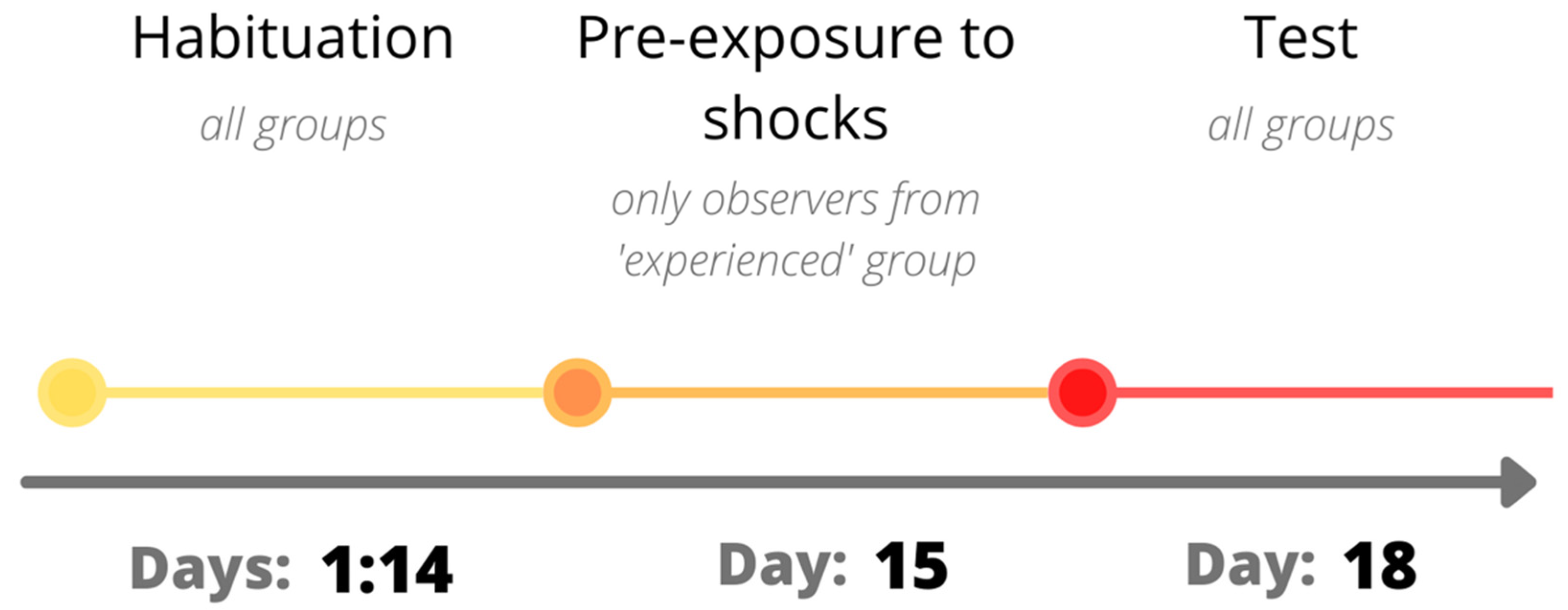 Brainsci 11 00759 g001