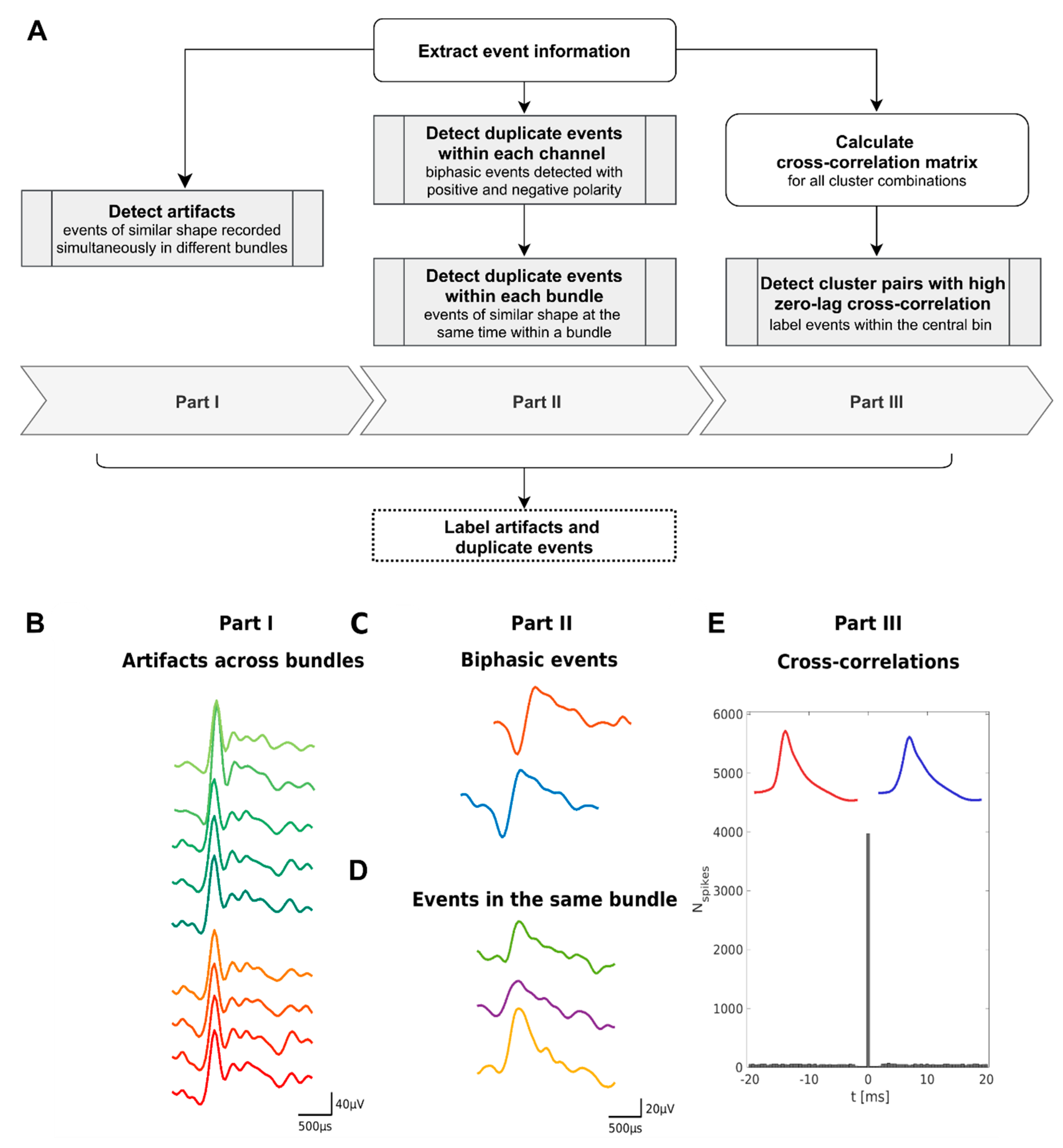 Brainsci 11 00761 g002 Brainsci 11 00761 g002