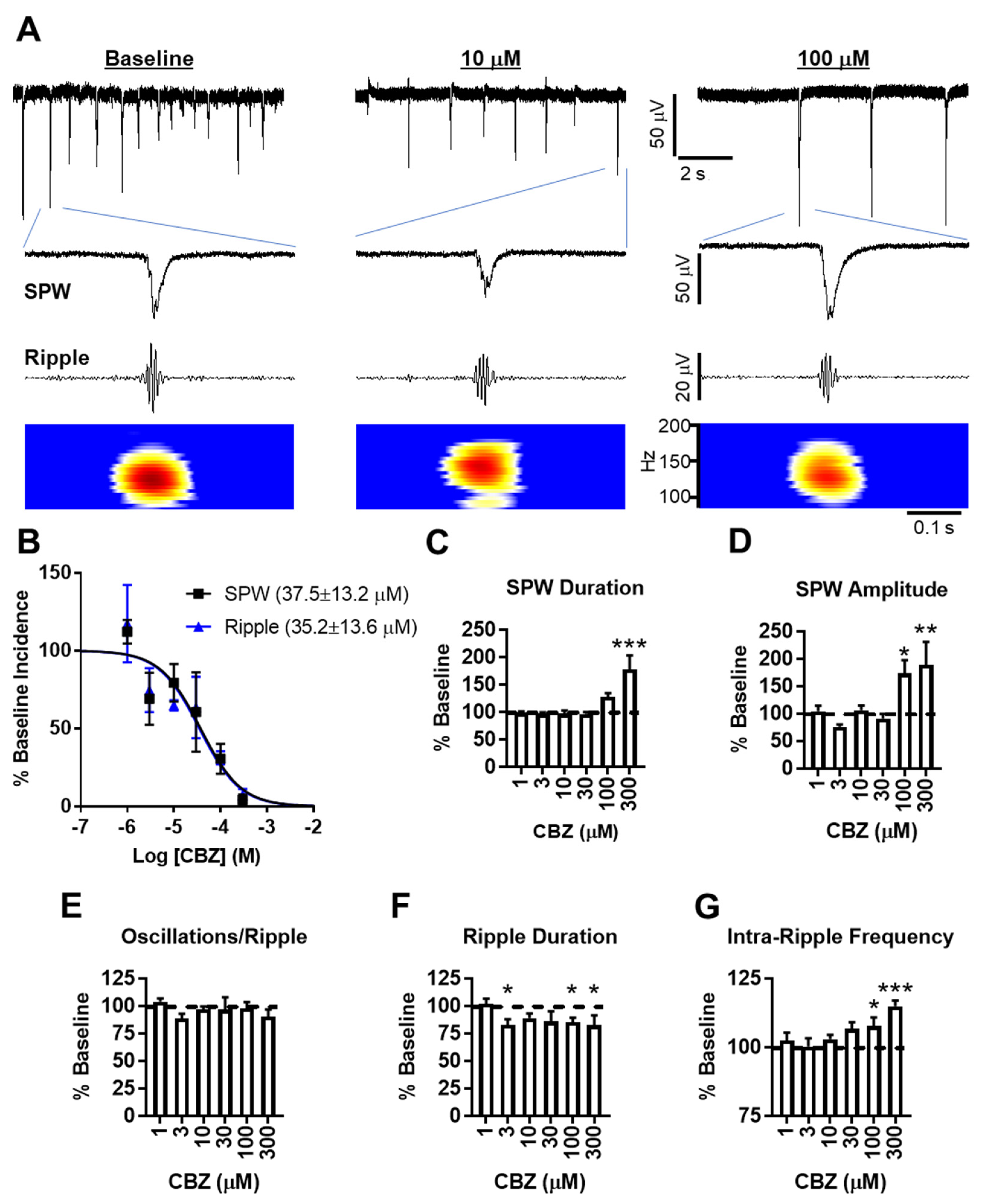 Brainsci 11 00787 g001