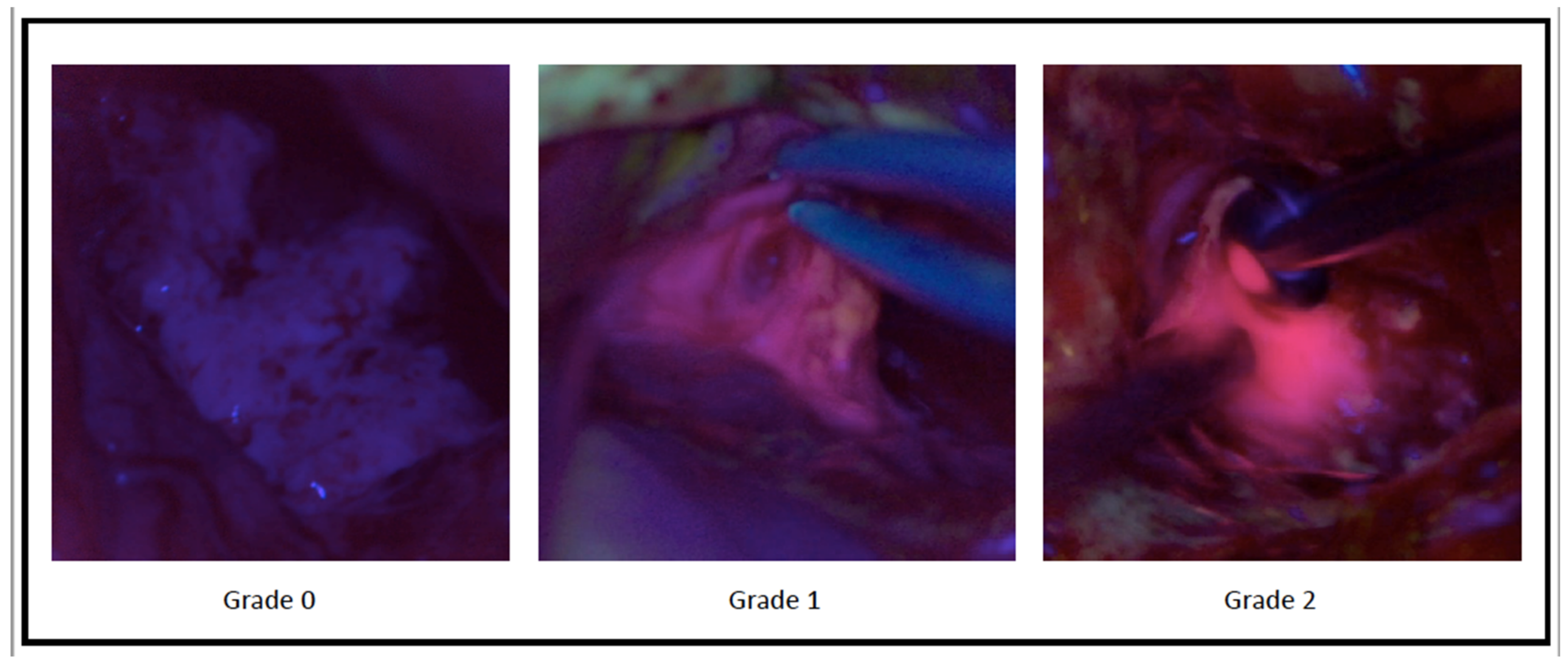 Brainsci 11 00795 g001