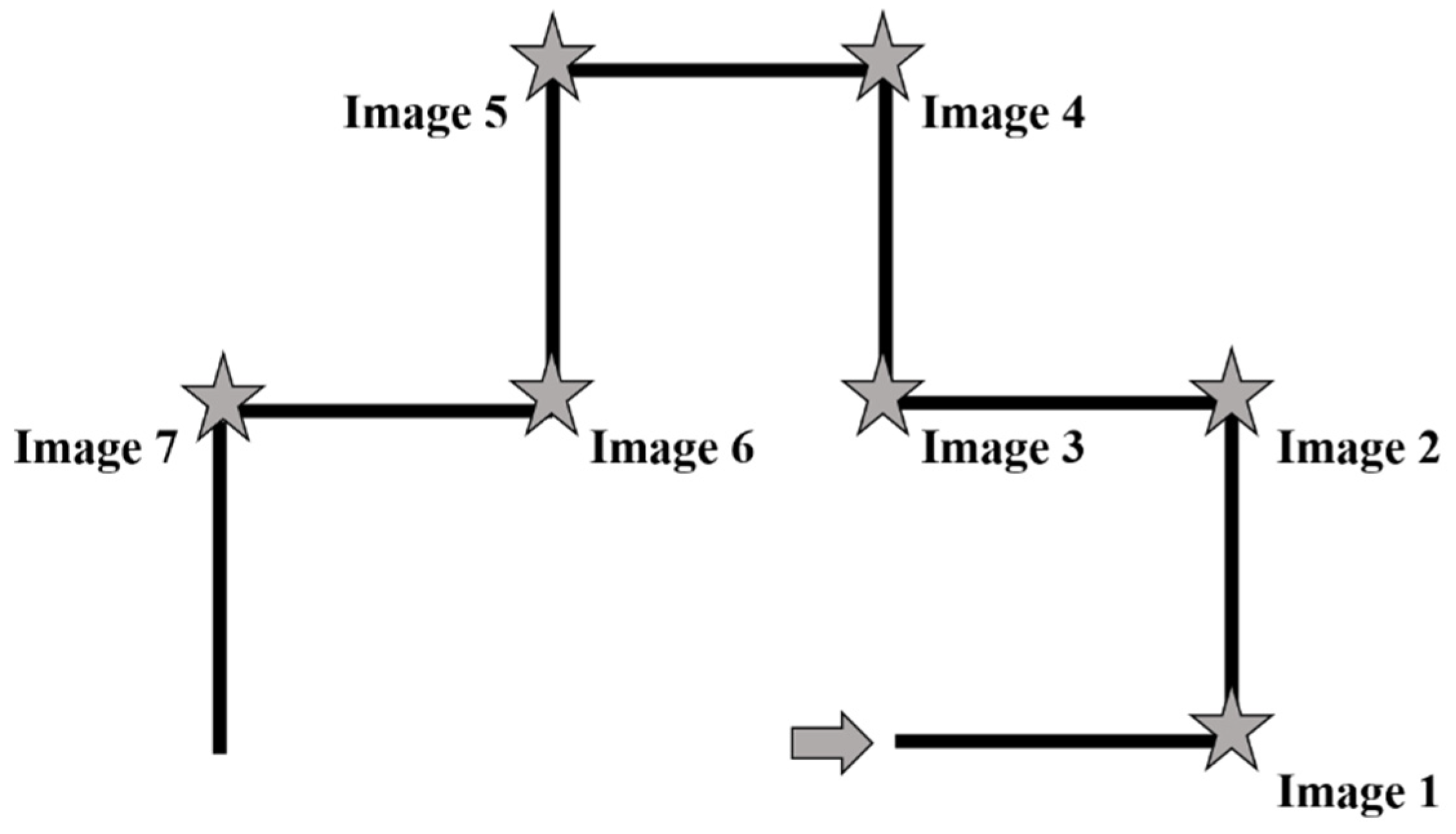 Brainsci 11 00814 g001 Brainsci 11 00814 g001