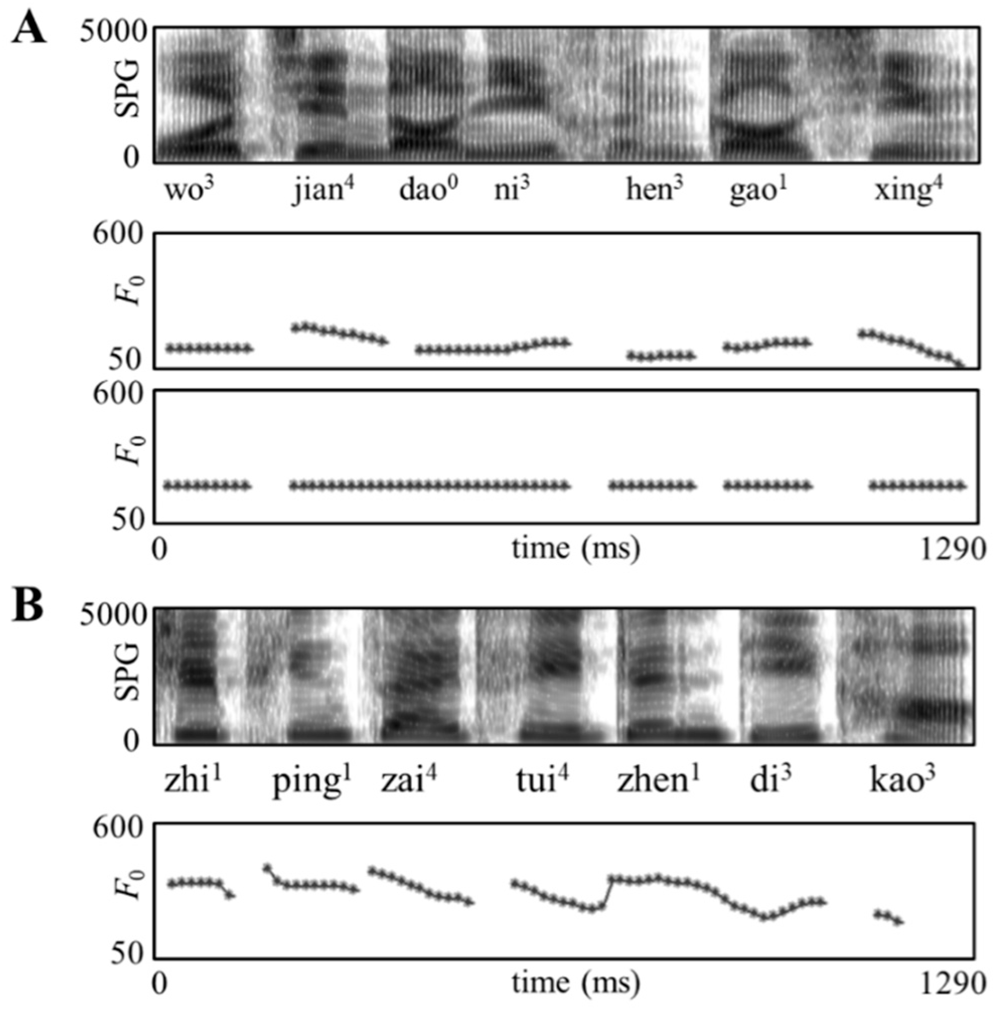 【最新入荷】 How Visual Auditory Context-Driven and Decoding Word 小物・アクセサリー