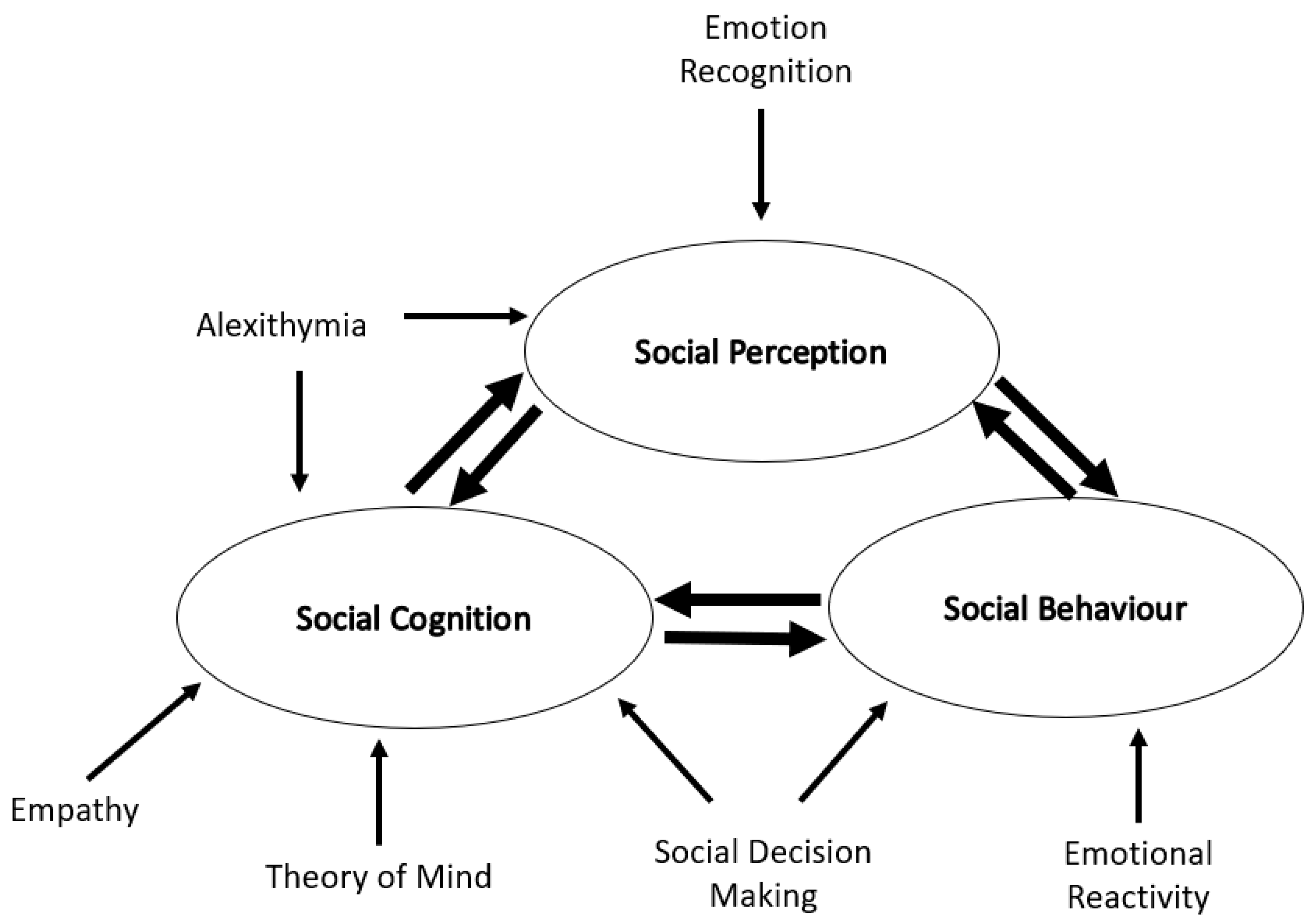 Brain Sciences Free Full Text Problems with Social Cognition