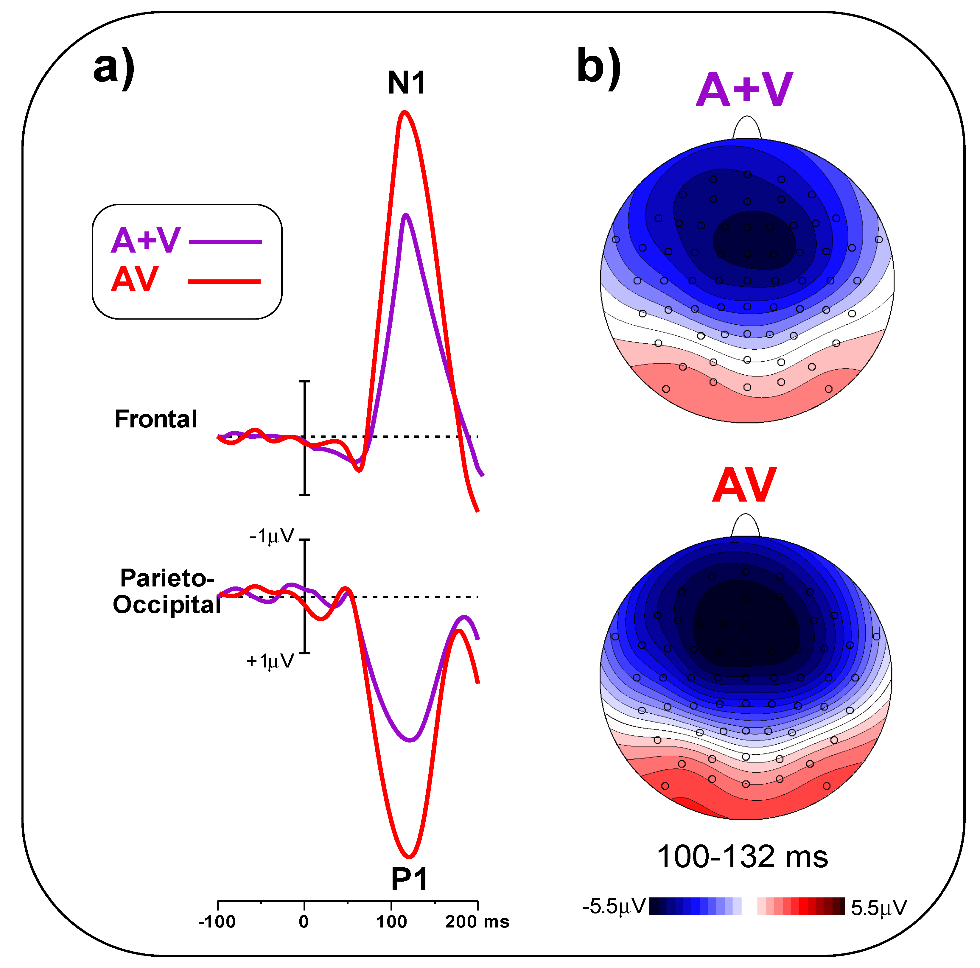 Brainsci 11 00843 g005