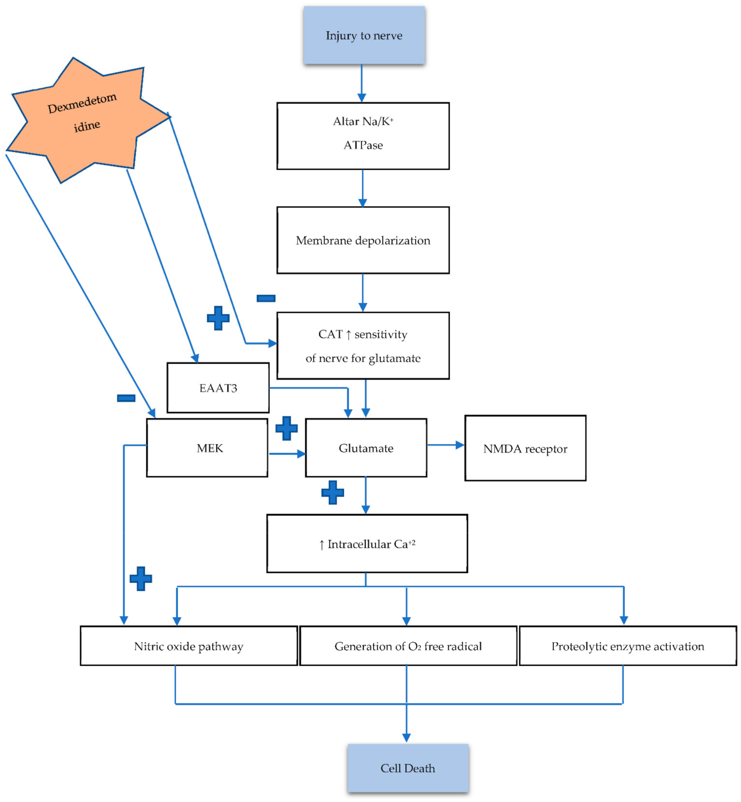 Brainsci 11 00846 g002
