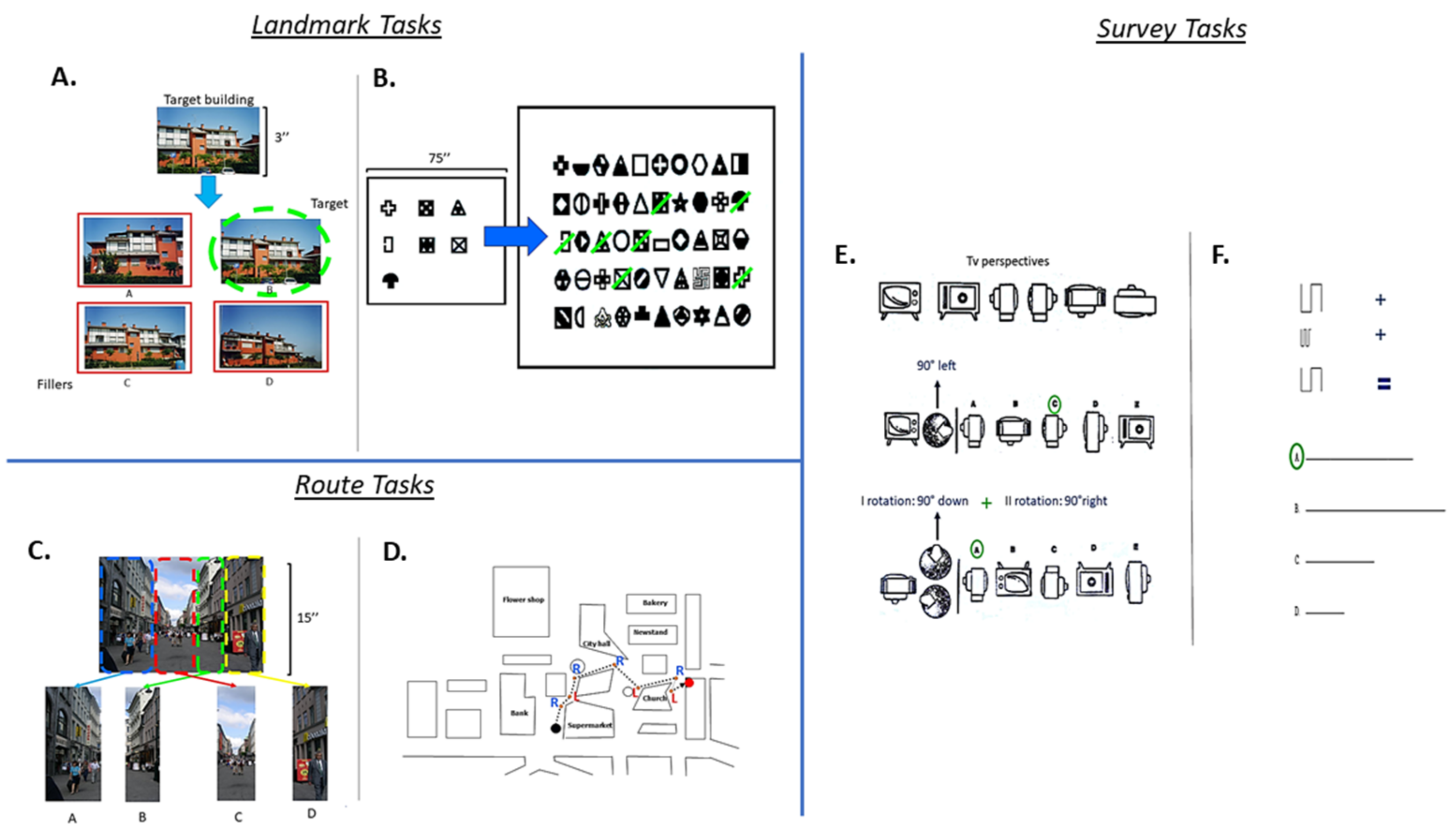 Brainsci 11 00851 g001 550
