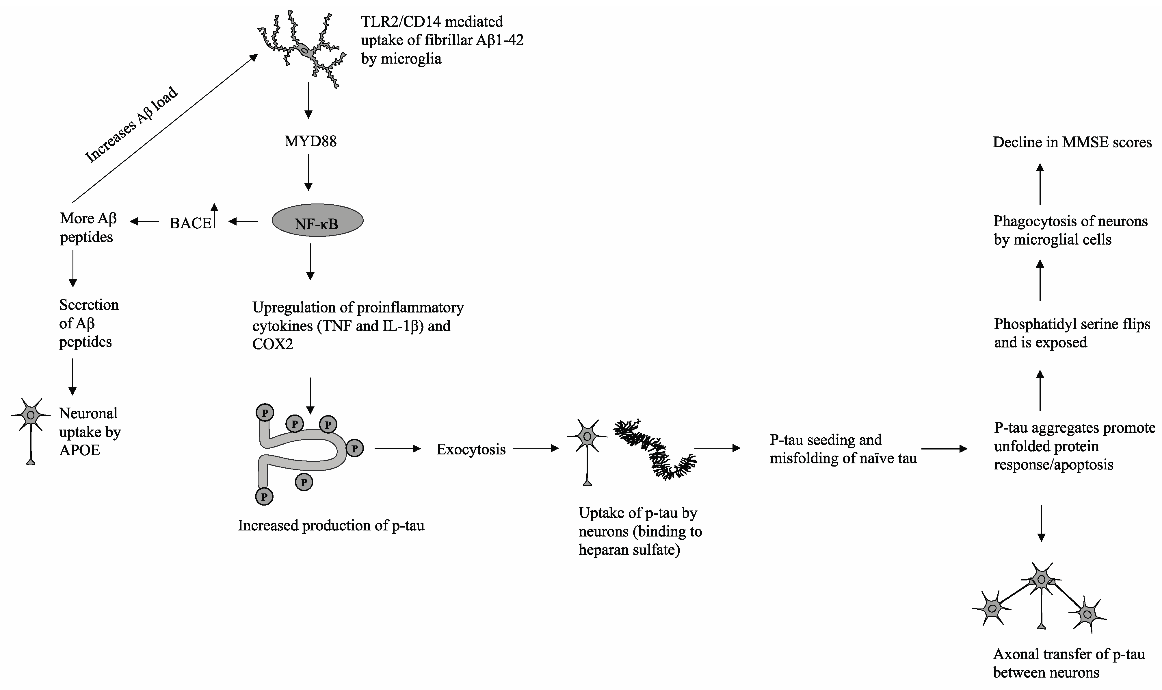 Brainsci 11 00861 g003 550