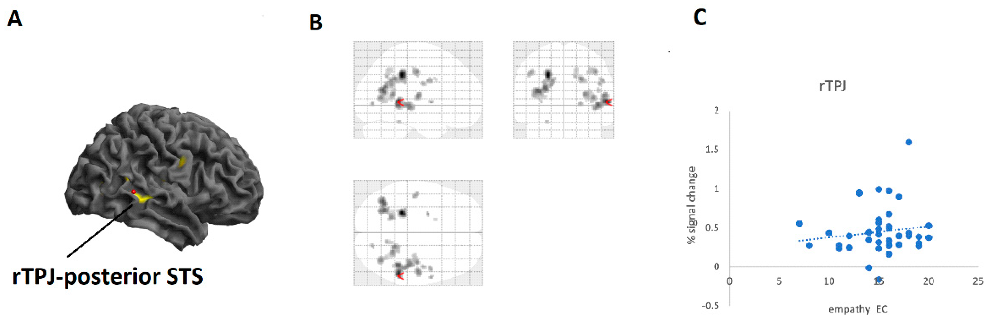 Brainsci 11 00863 g004