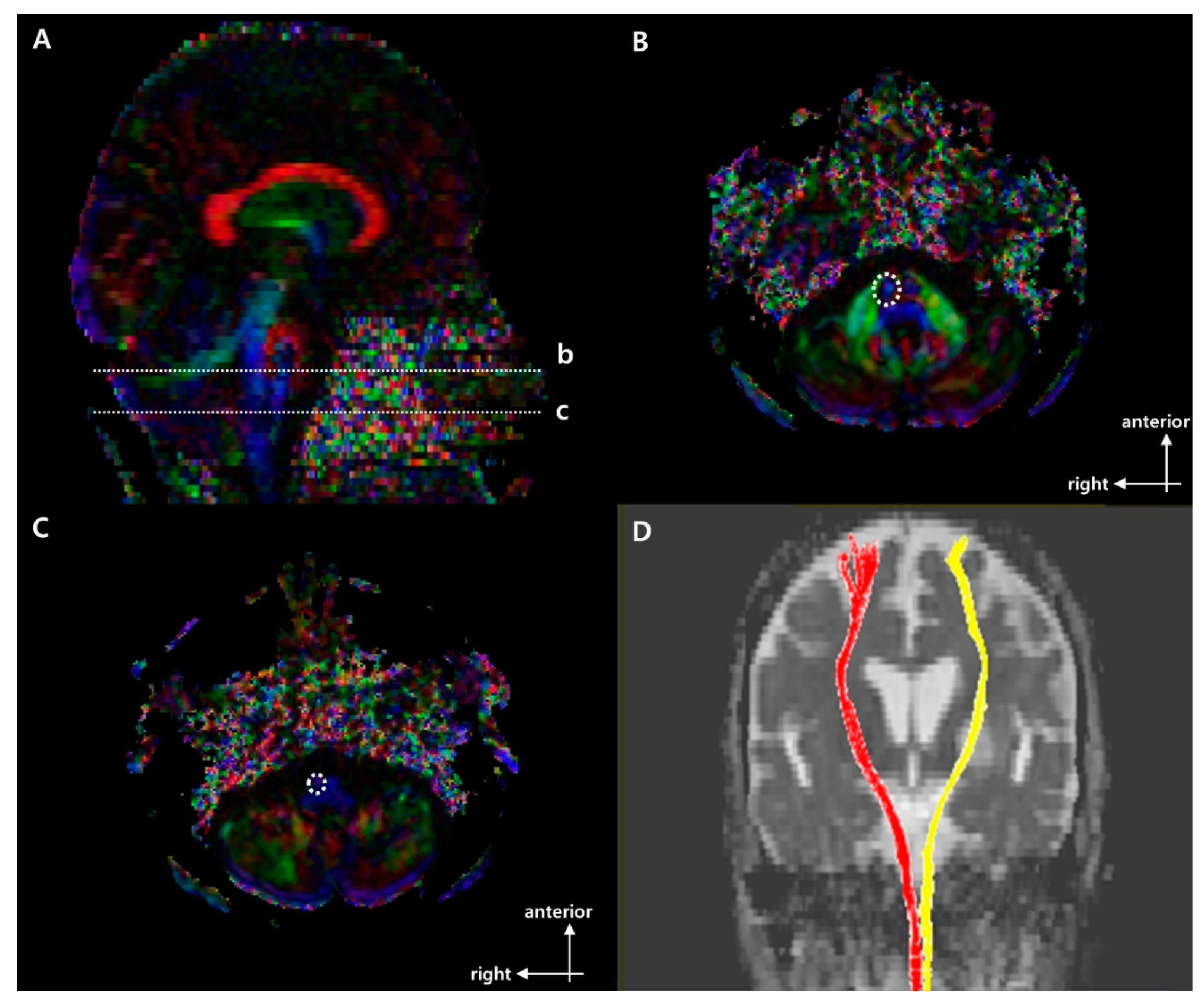 Brainsci 11 00867 g001