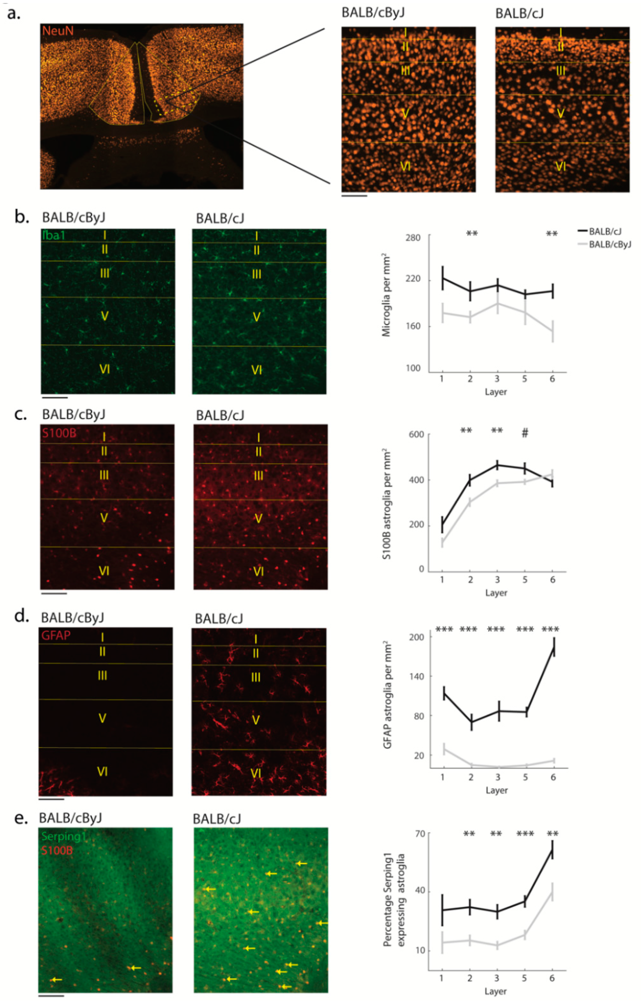 Brainsci 11 00868 g004