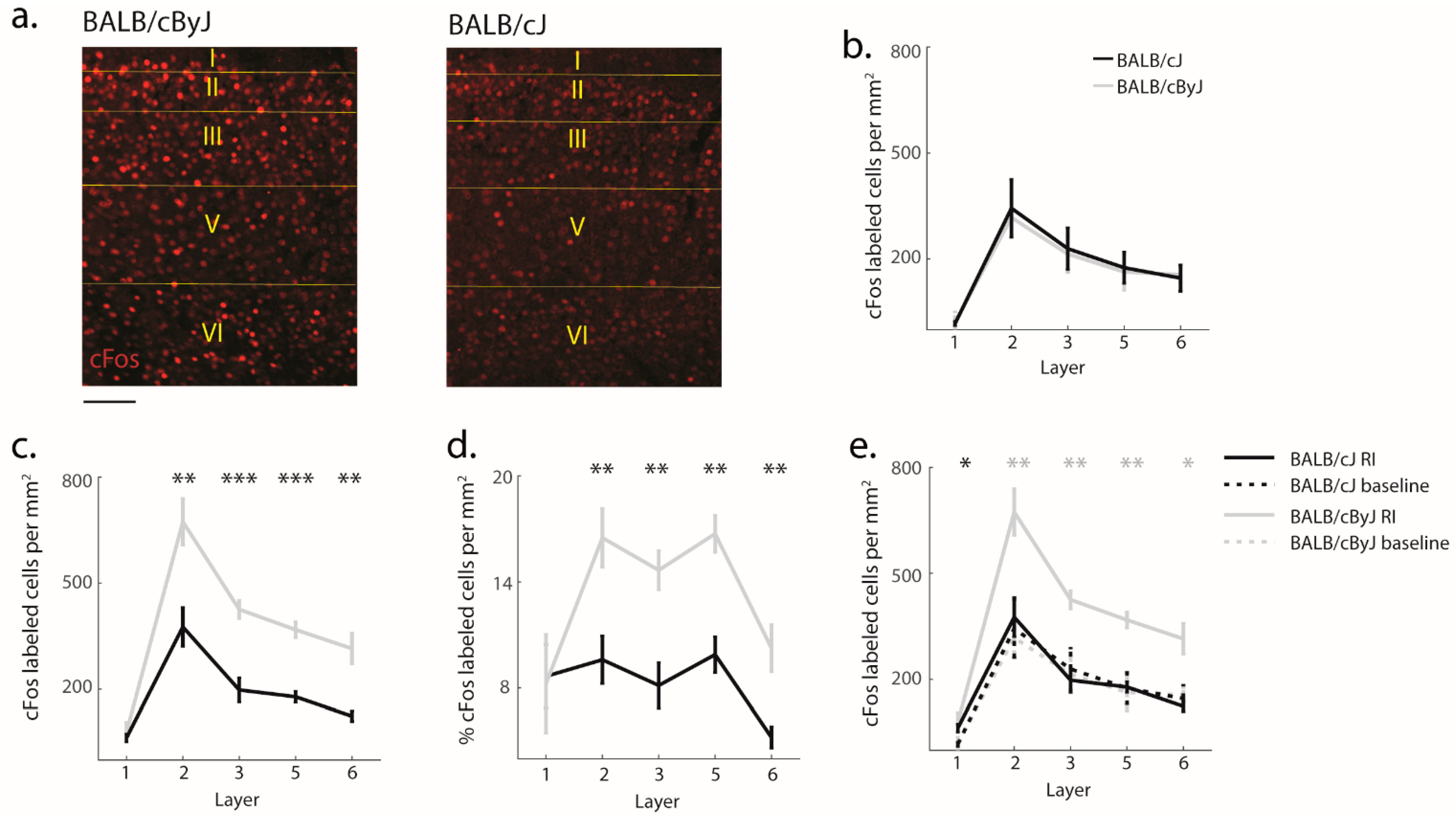 Brainsci 11 00868 g005