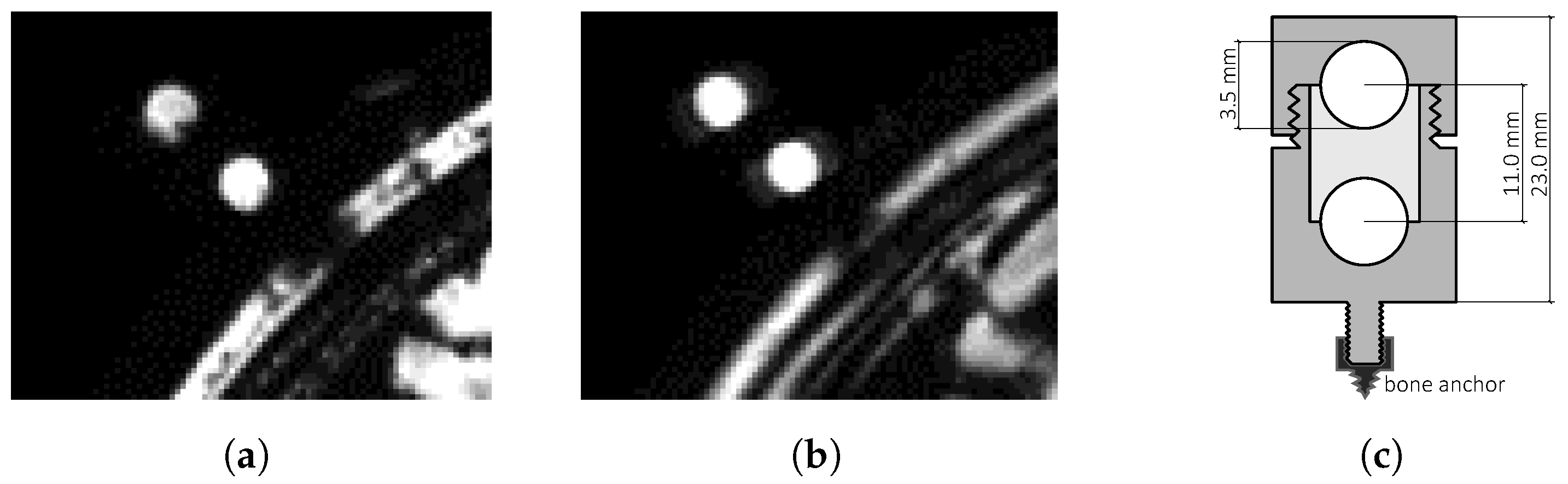 Brainsci 11 00876 g001