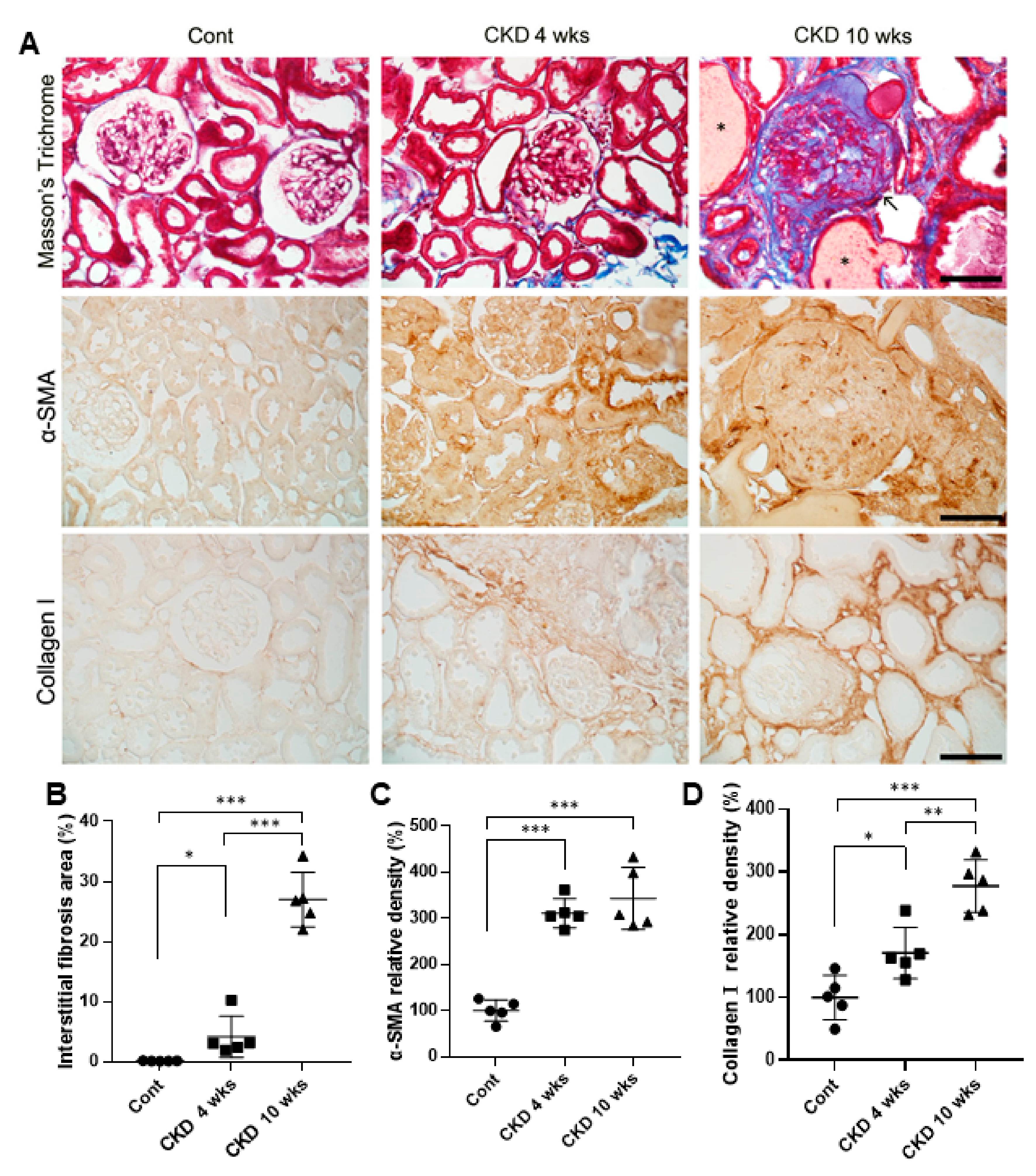 Brainsci 11 00882 g002