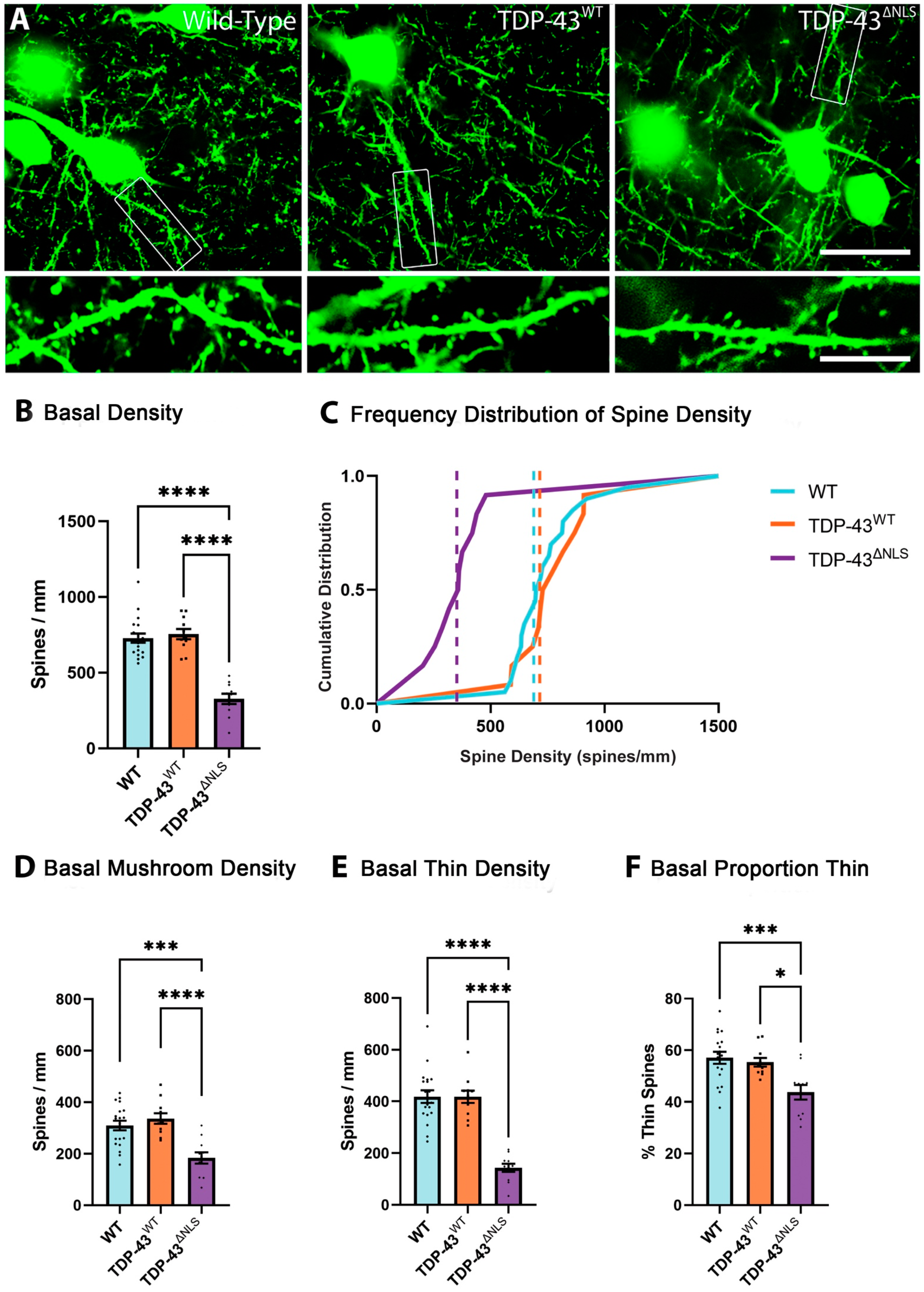 Brainsci 11 00883 g005