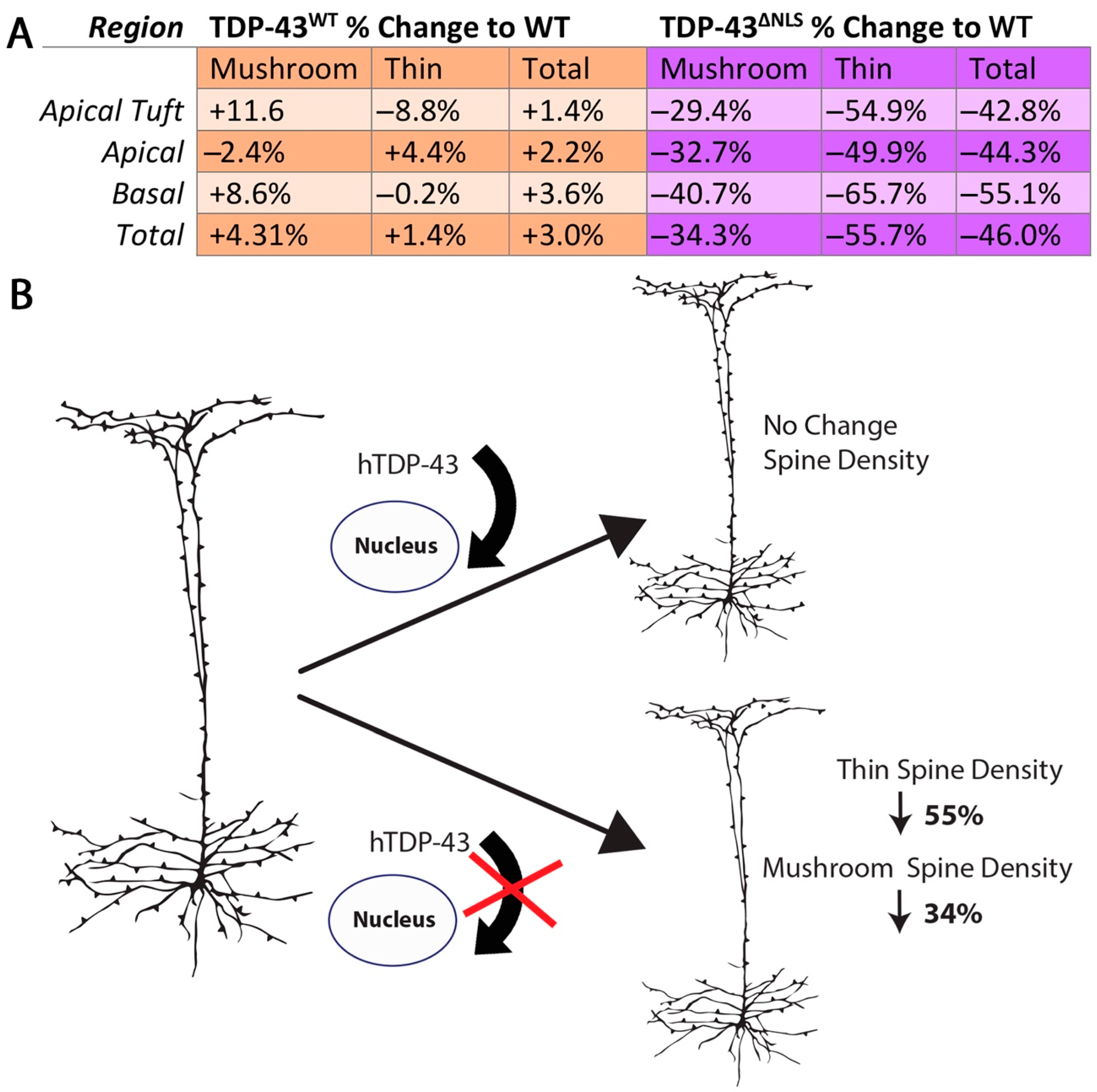 Brainsci 11 00883 g006