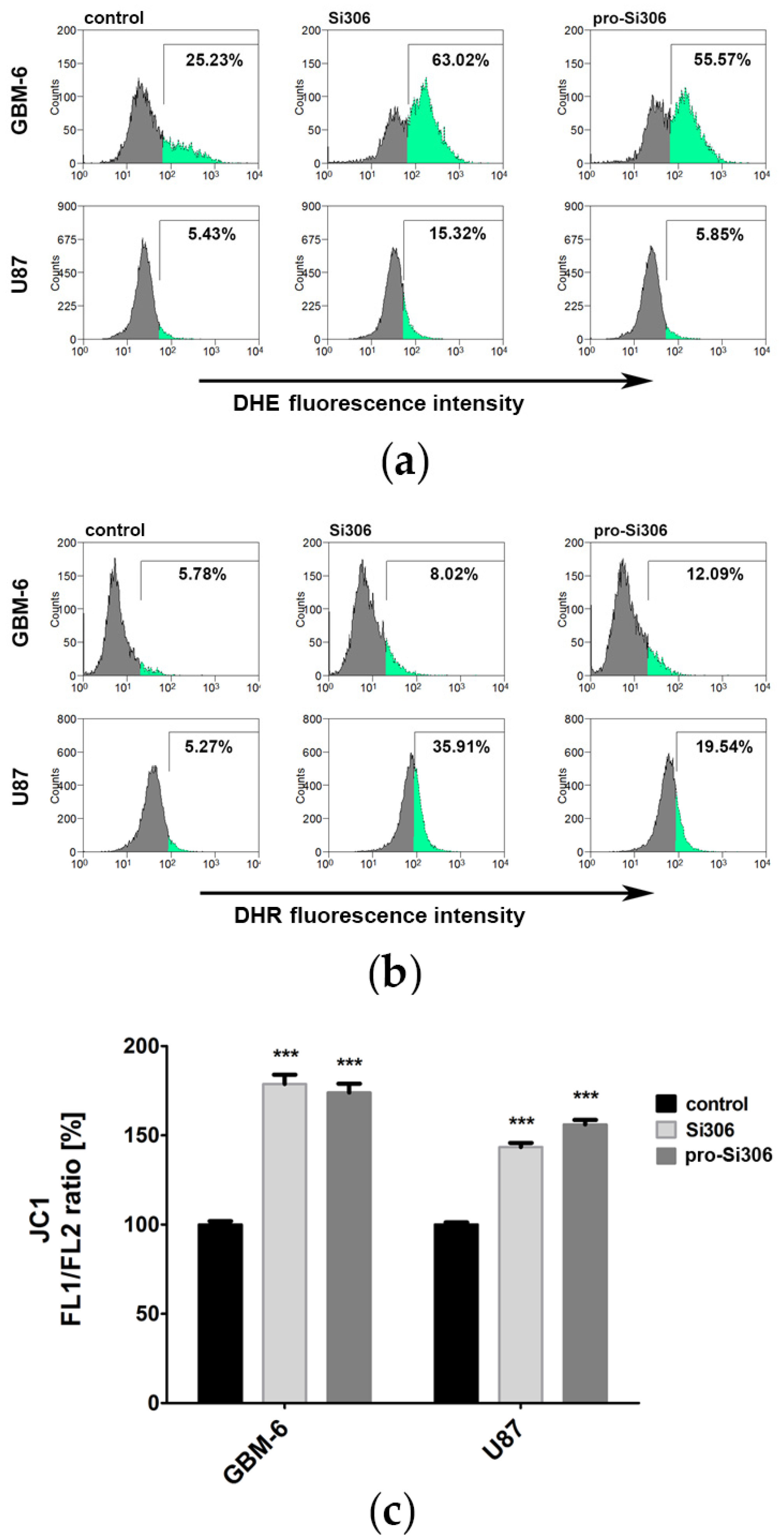 Brainsci 11 00884 g003
