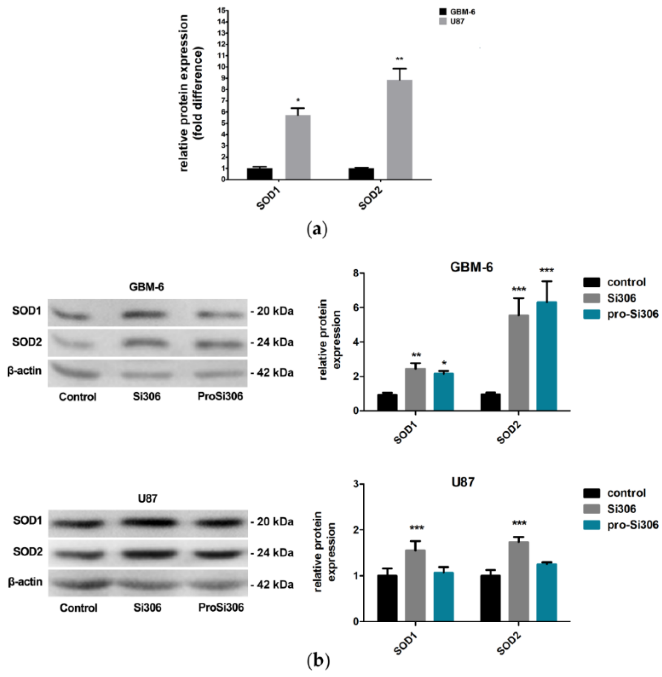 Brainsci 11 00884 g004