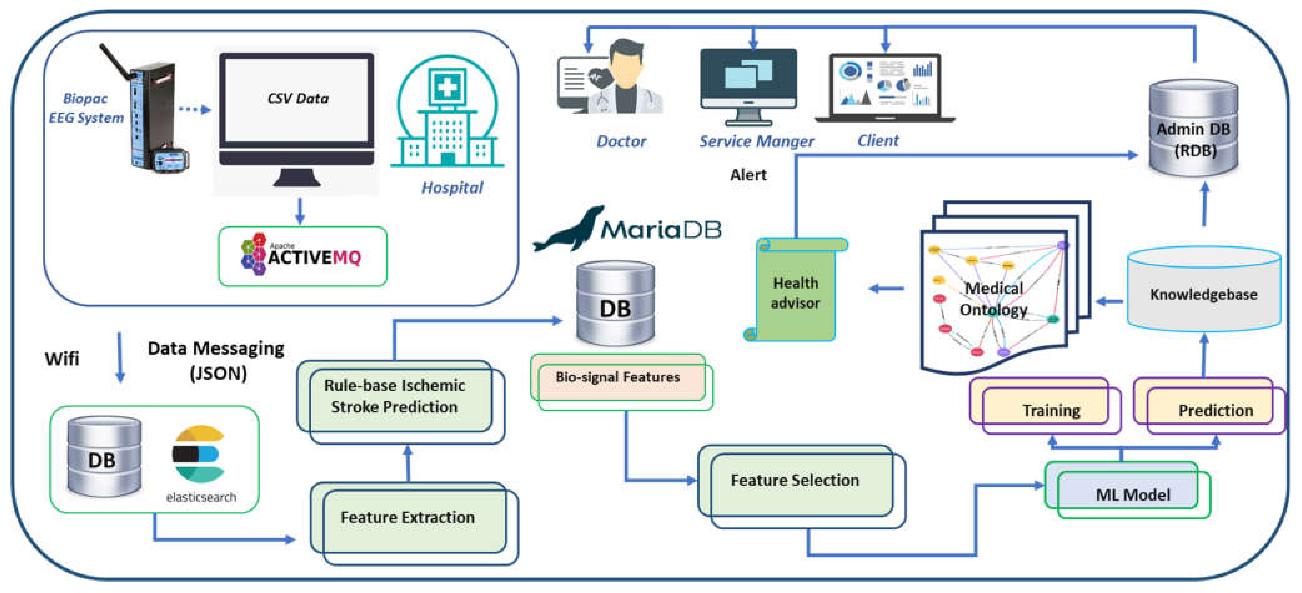 Brainsci 11 00900 g001