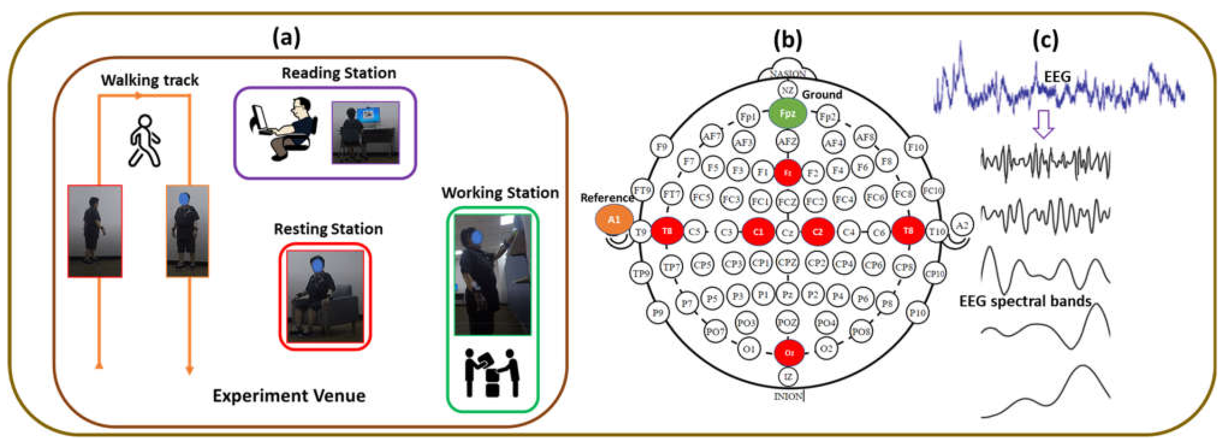 Brainsci 11 00900 g002